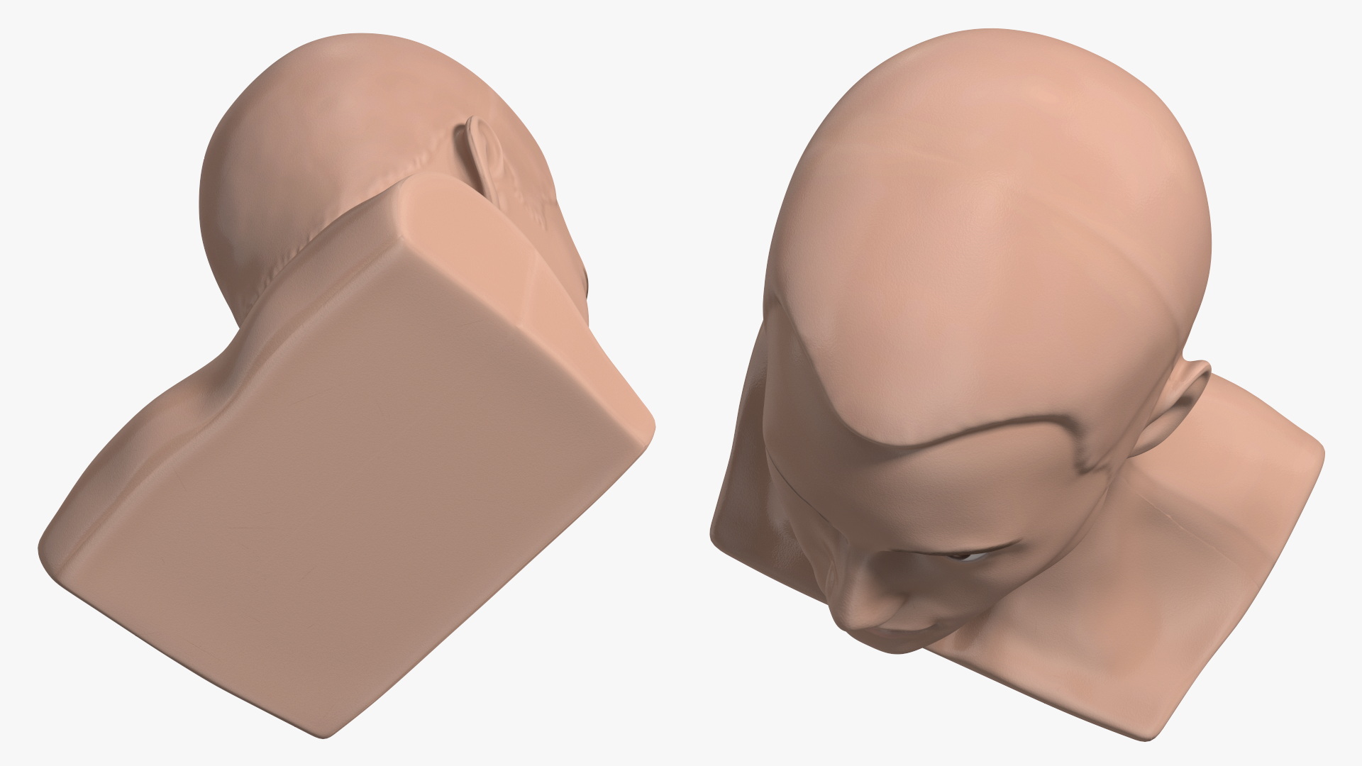 Plastic Male Mannequin Head with Hair 3D