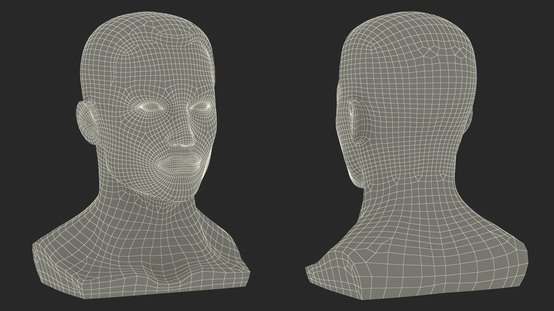 Plastic Male Mannequin Head with Hair 3D