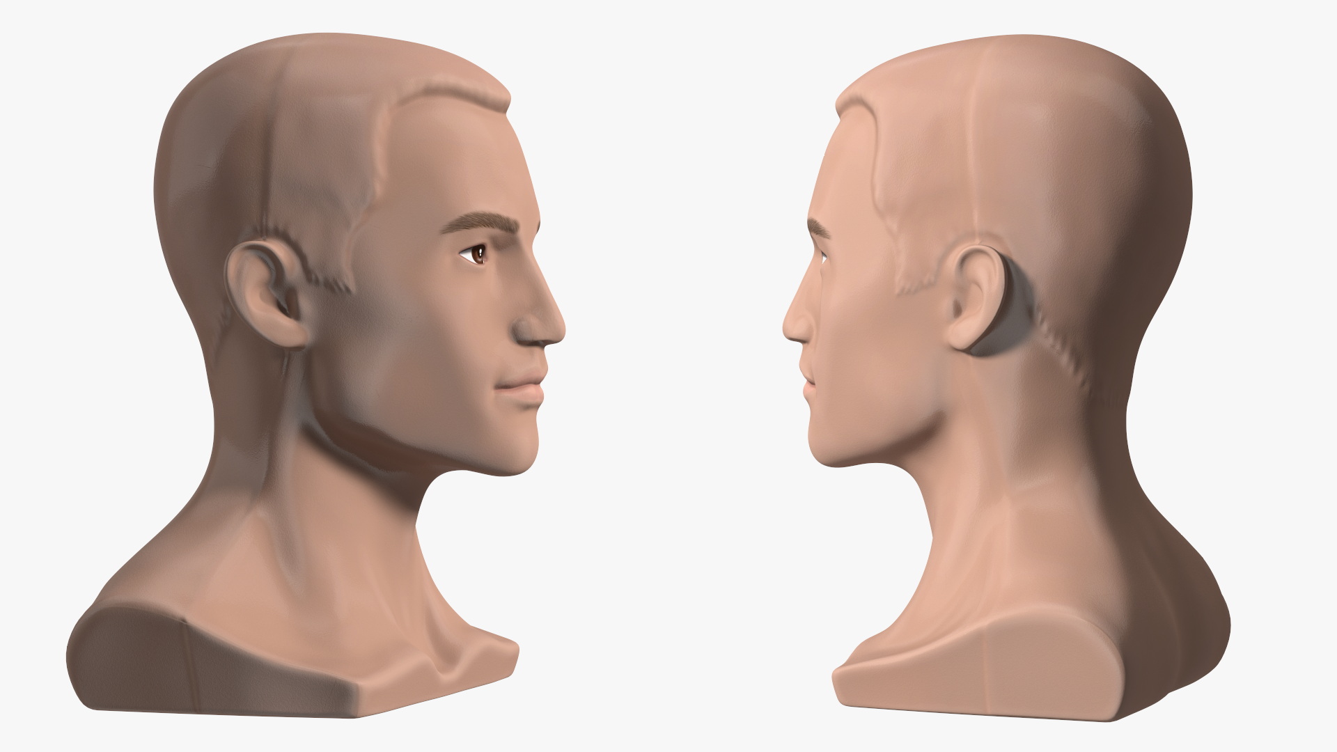 Plastic Male Mannequin Head with Hair 3D