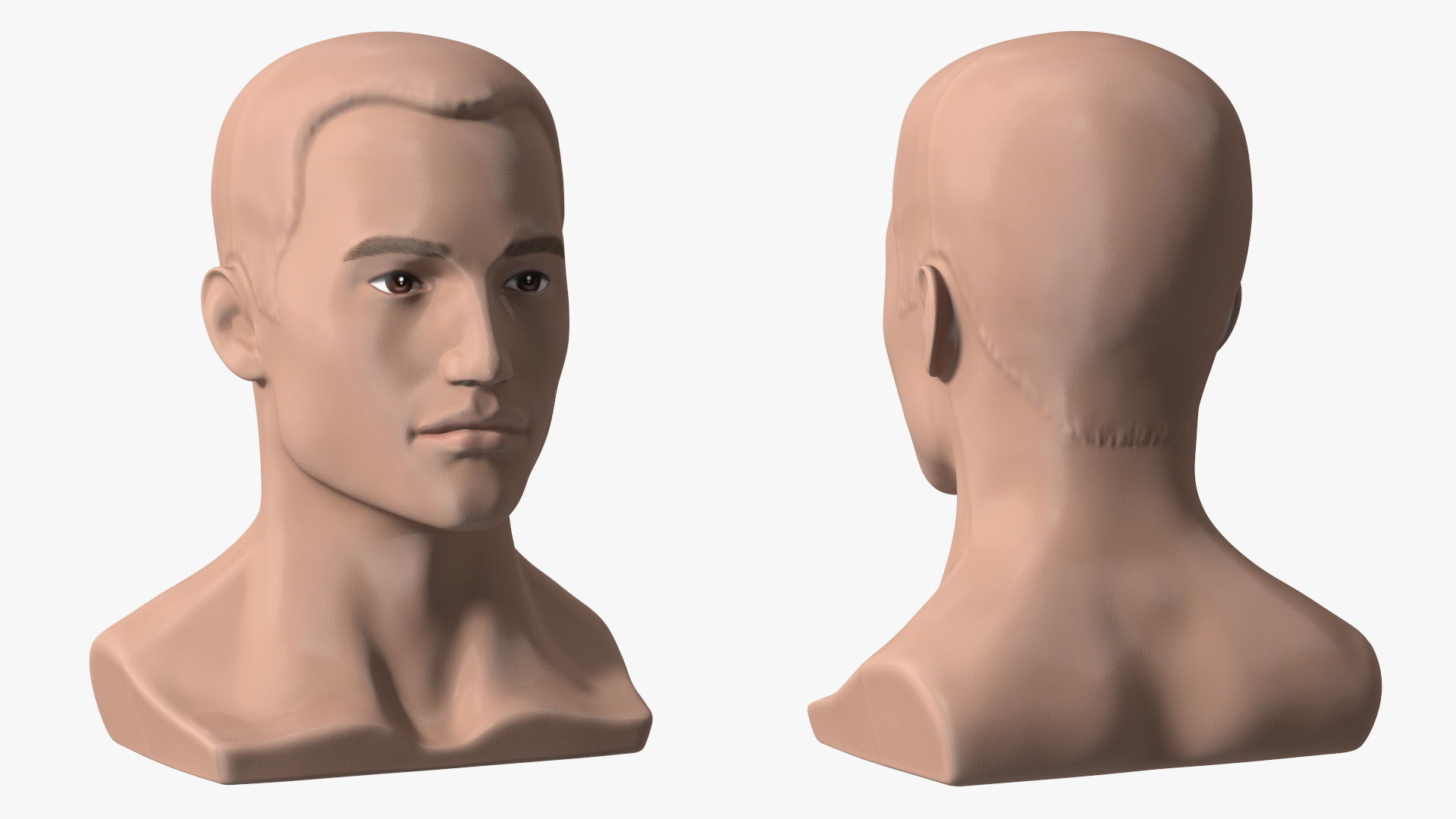 Plastic Male Mannequin Head with Hair 3D