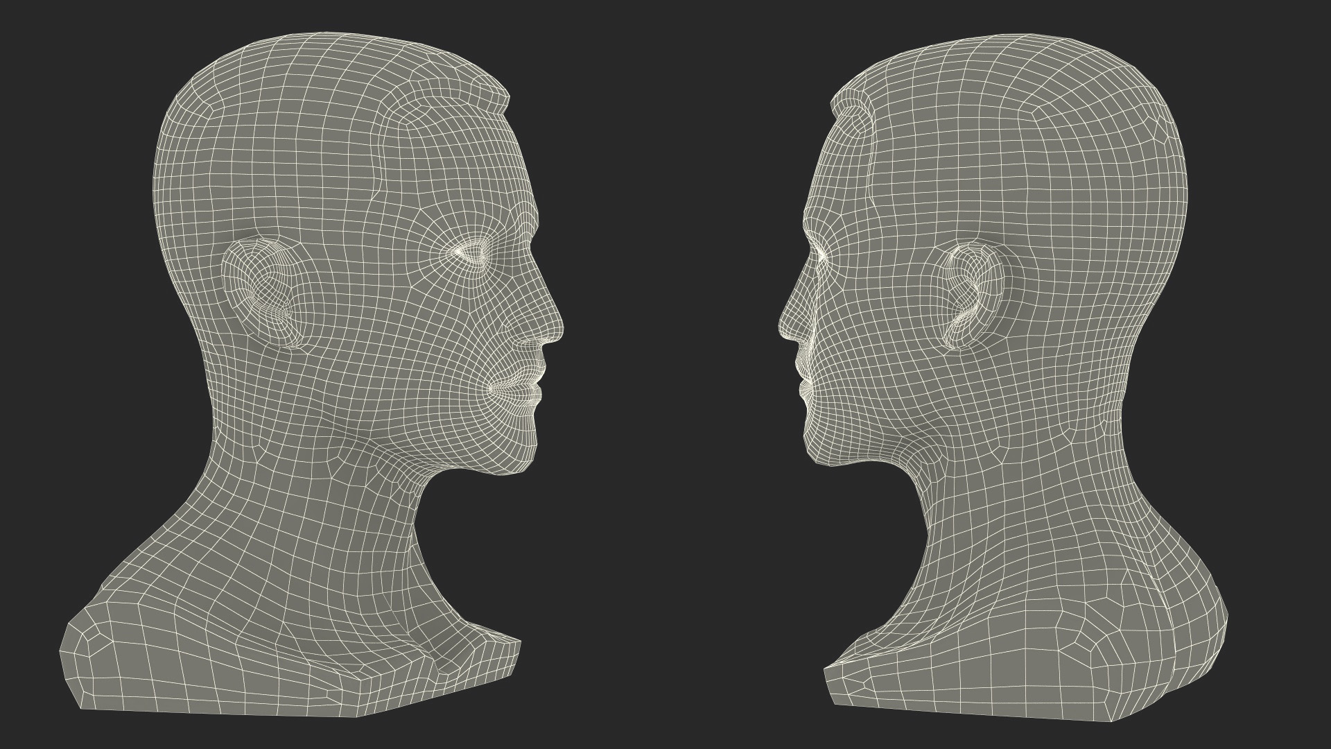 Plastic Male Mannequin Head with Hair 3D