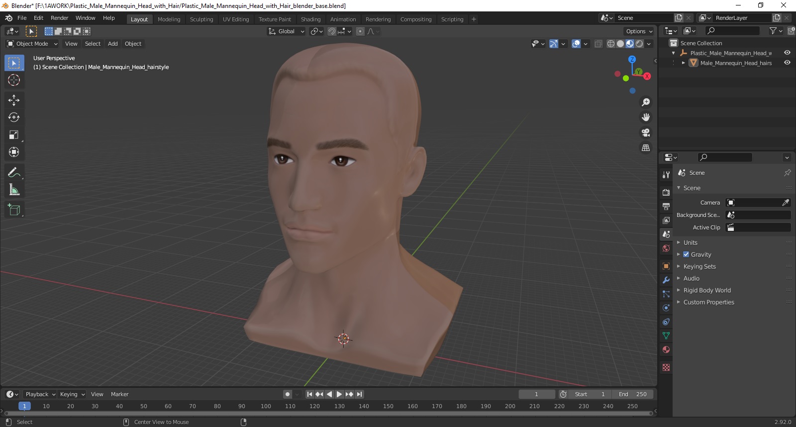 Plastic Male Mannequin Head with Hair 3D