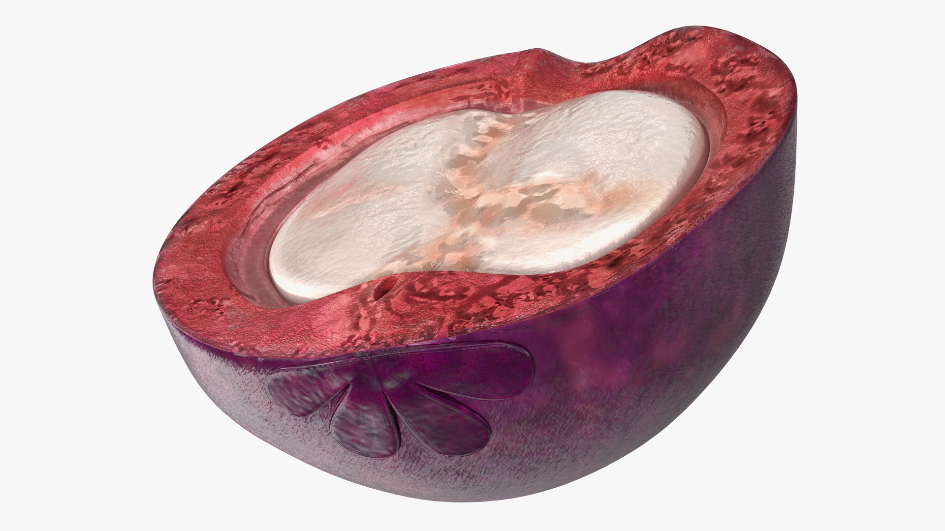 3D Purple Mangosteen Whole and Half Cut
