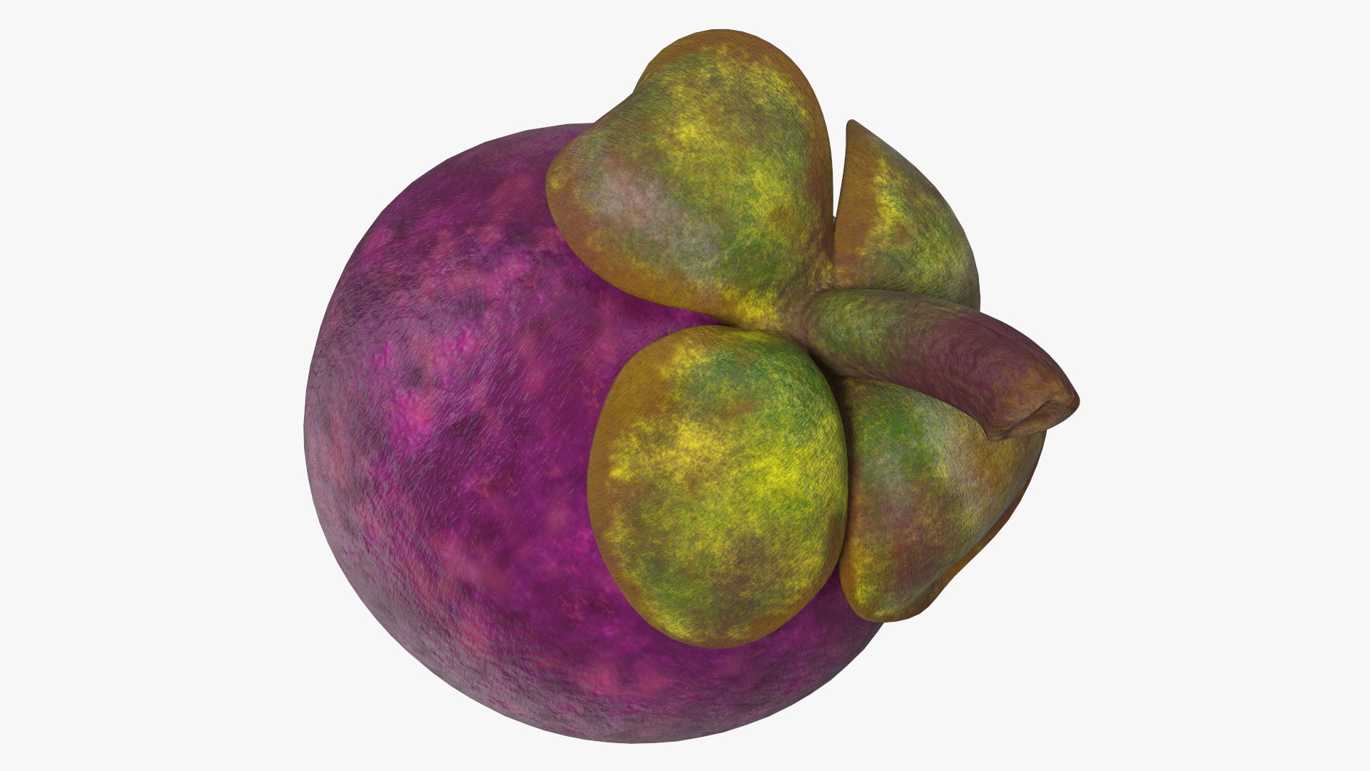 3D Purple Mangosteen Whole and Half Cut