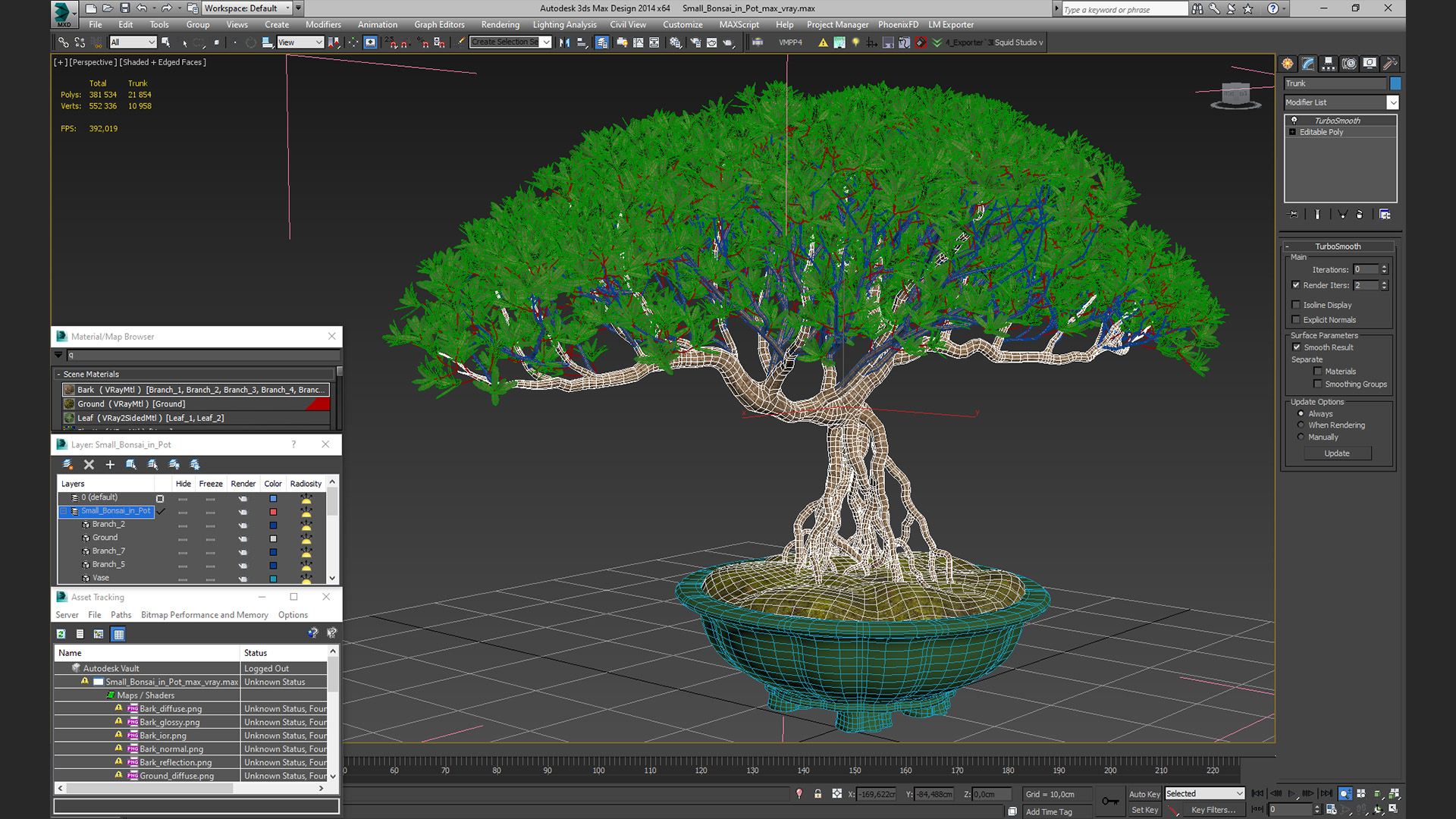 Small Bonsai in Pot 3D model