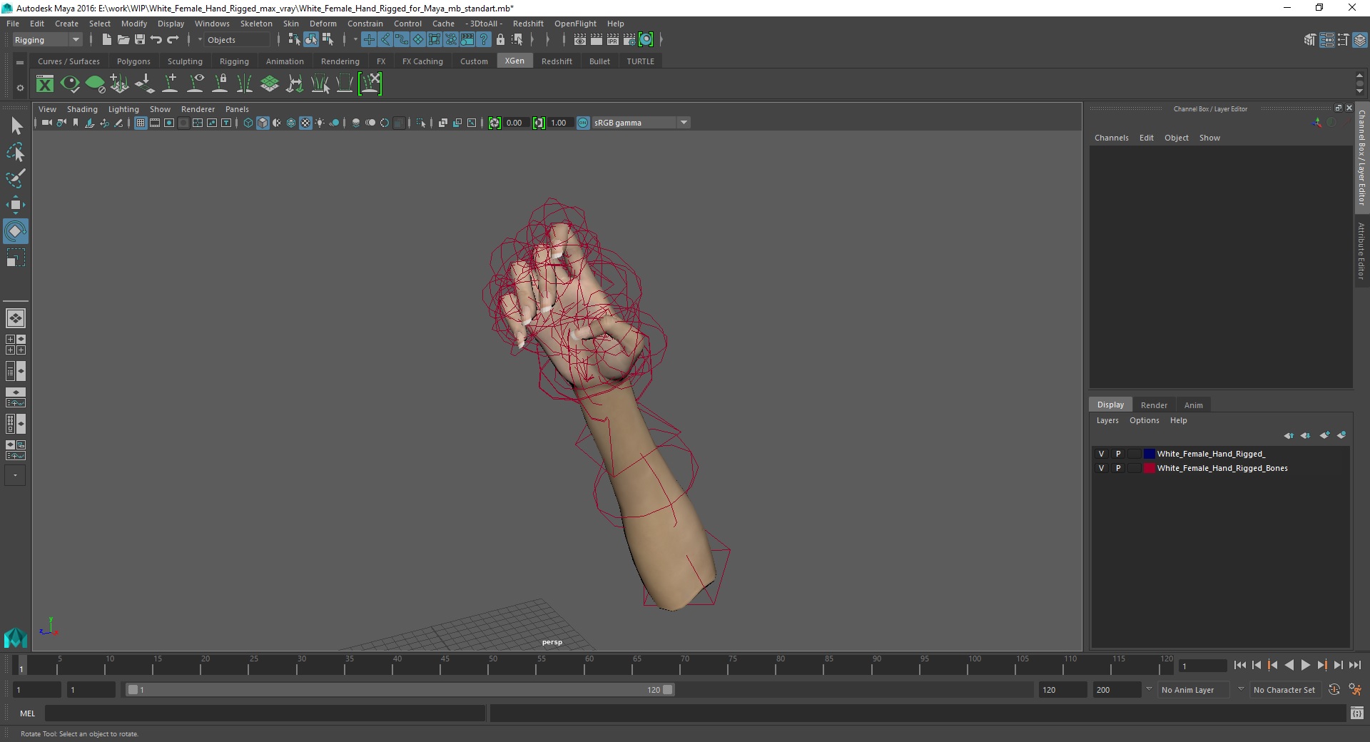 3D White Female Hand Rigged for Maya model