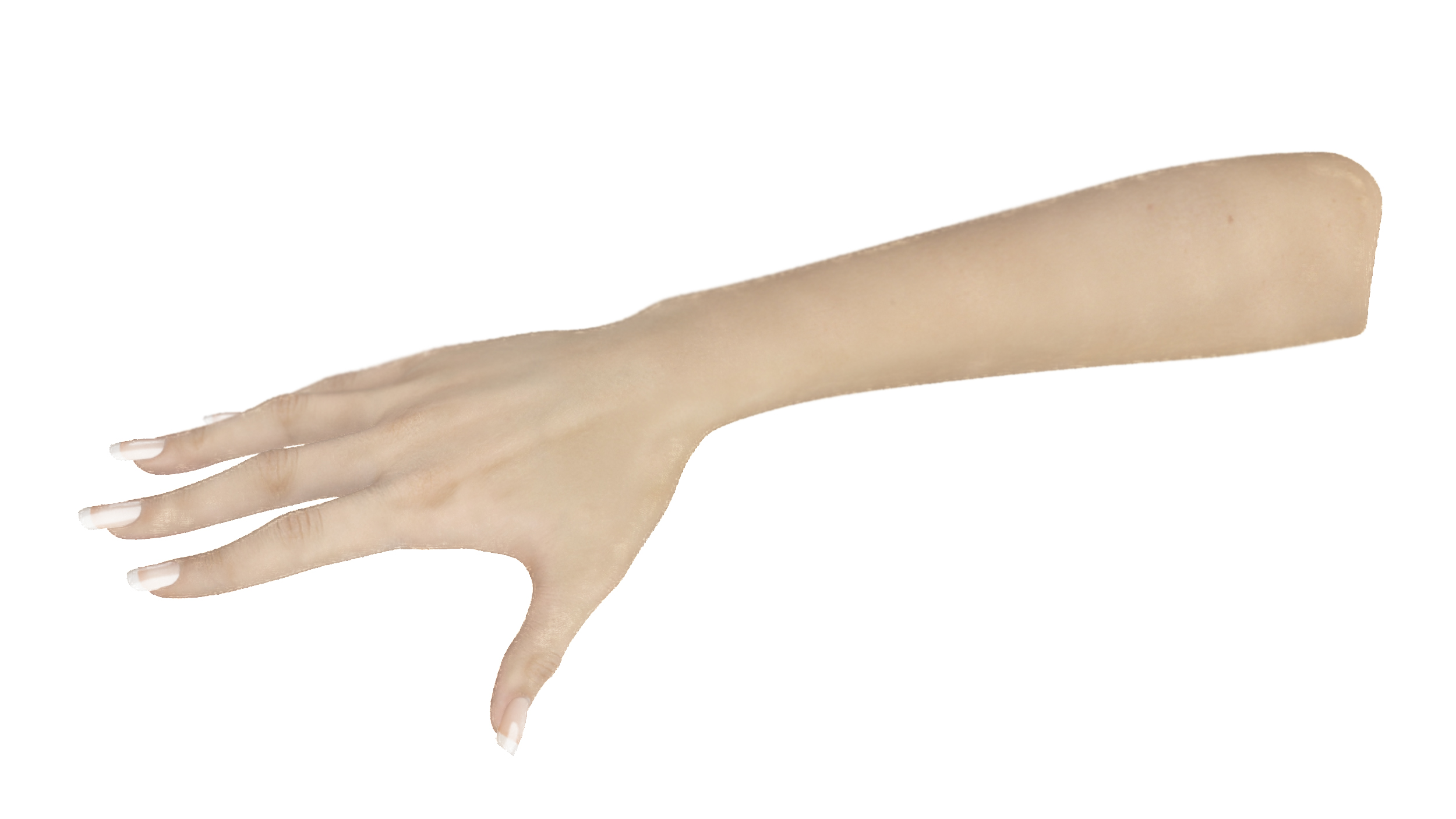3D White Female Hand Rigged for Maya model