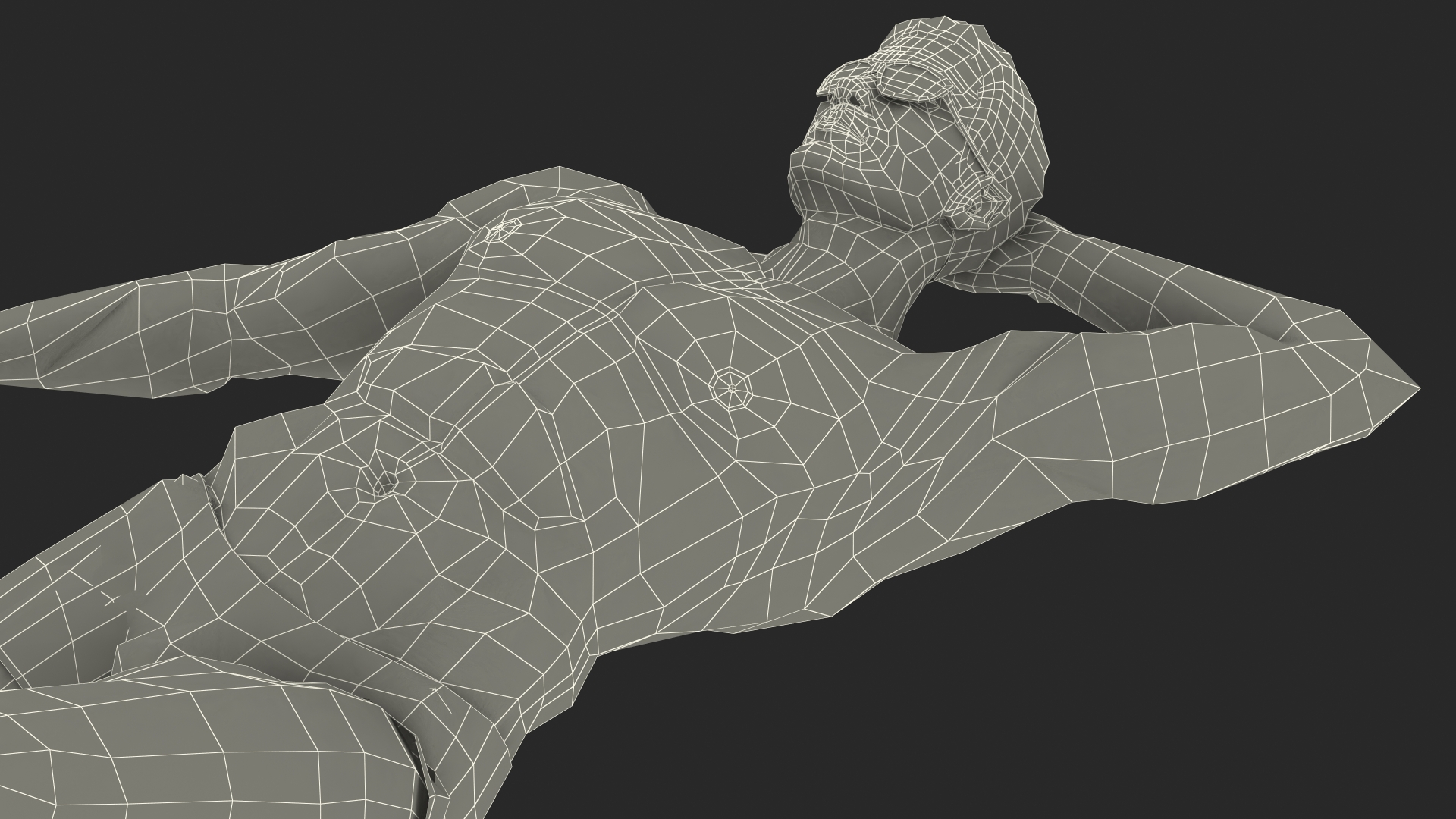 3D Man in Swimwear Sunbathing