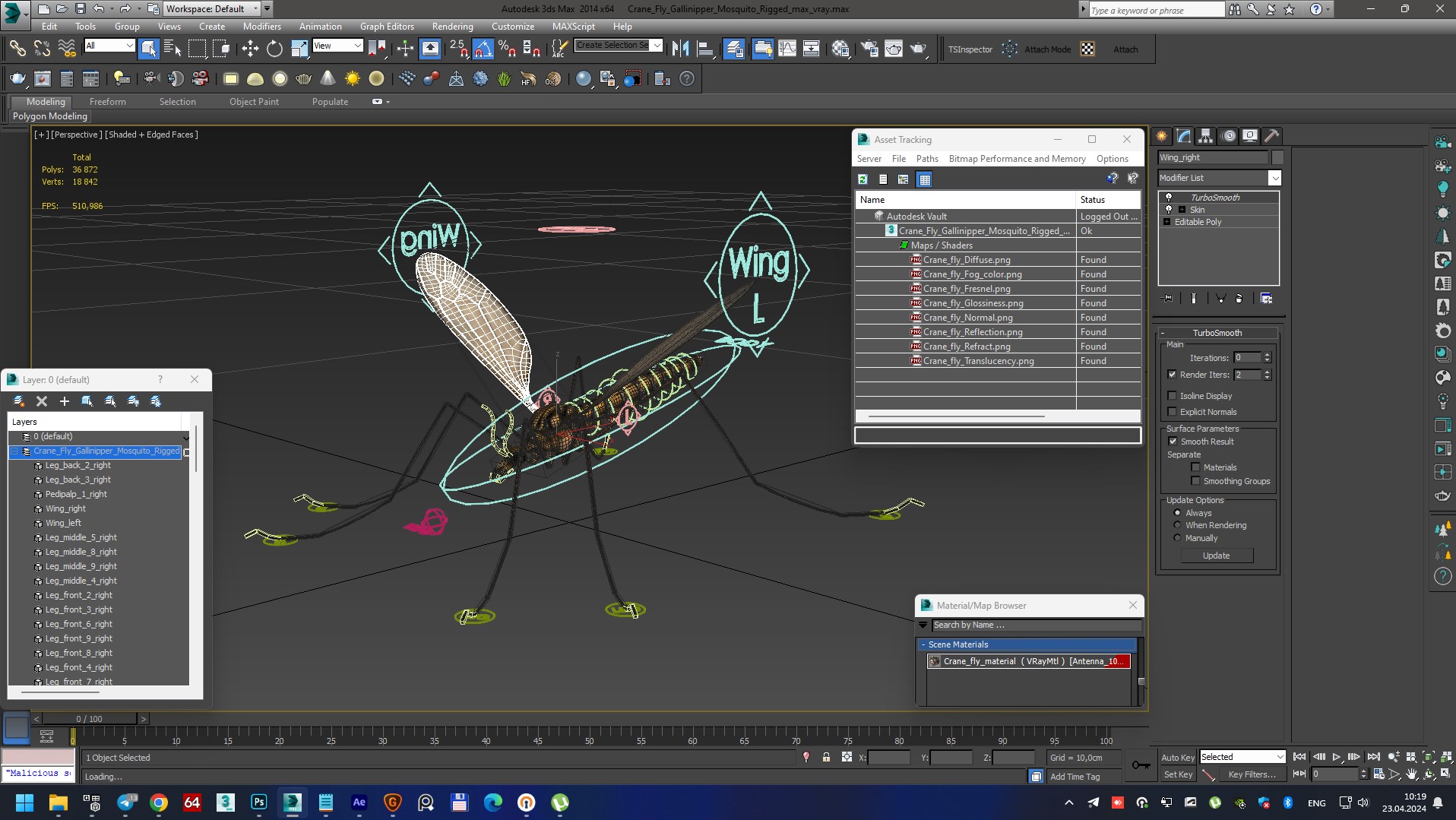 3D Crane Fly Gallinipper Mosquito Rigged for Maya