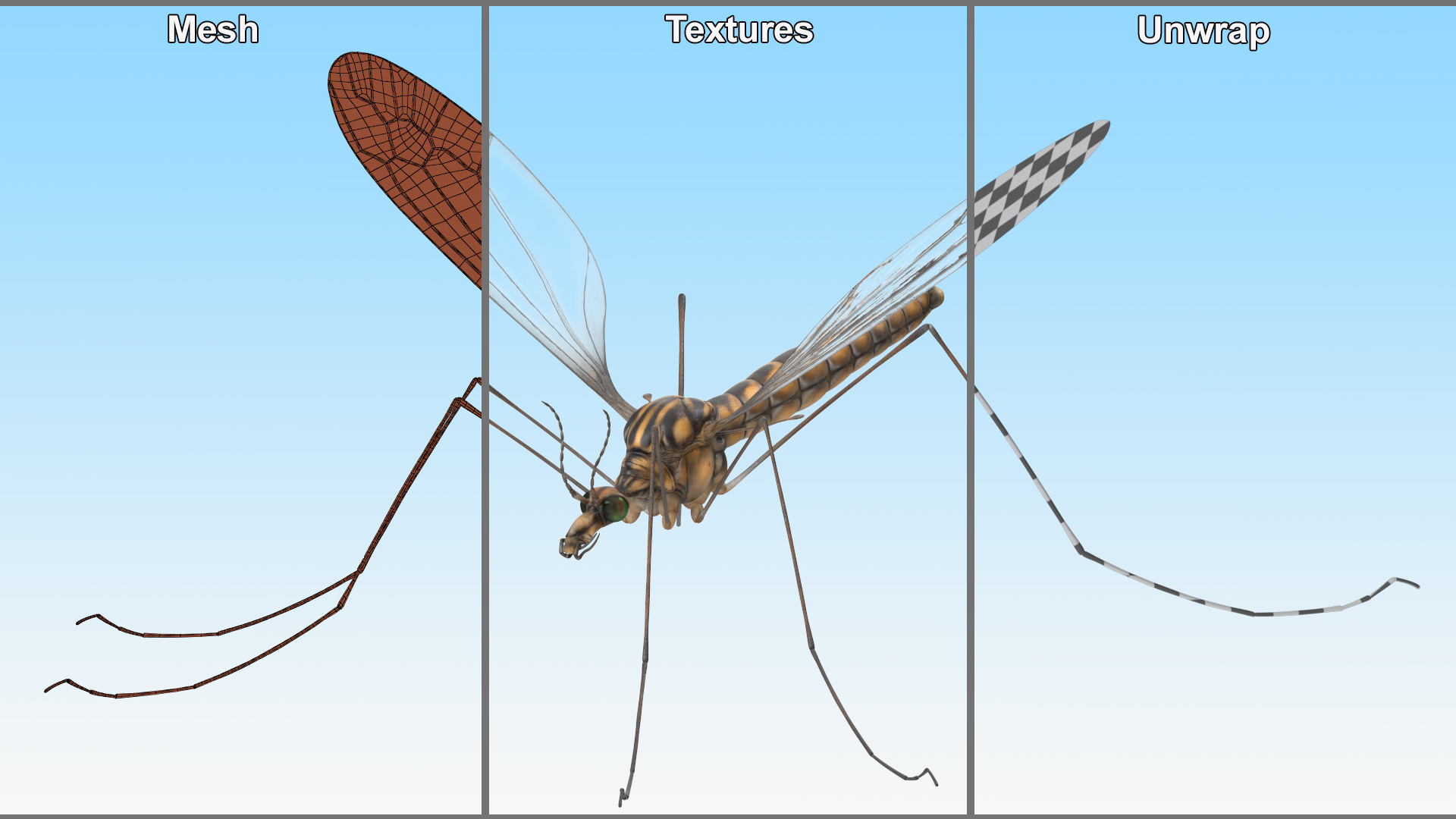 3D Crane Fly Gallinipper Mosquito Rigged for Maya