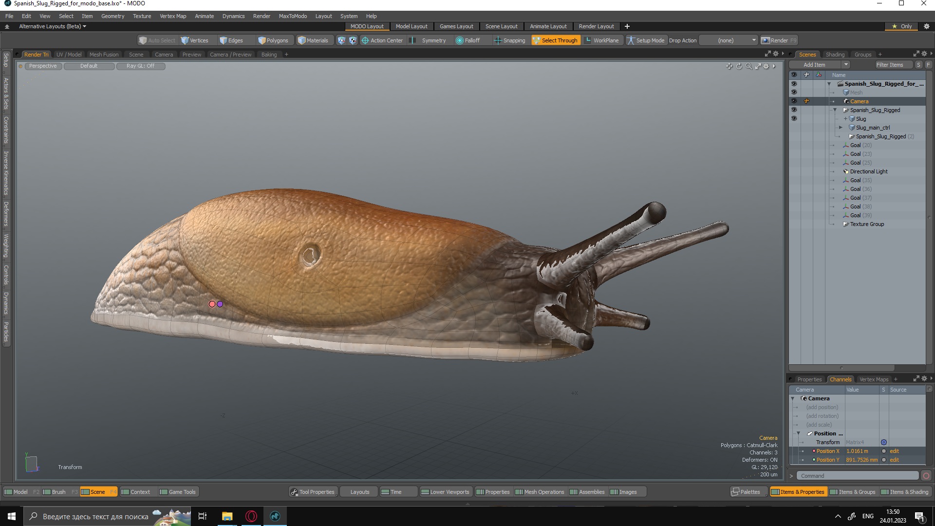 3D Spanish Slug Rigged for Modo model