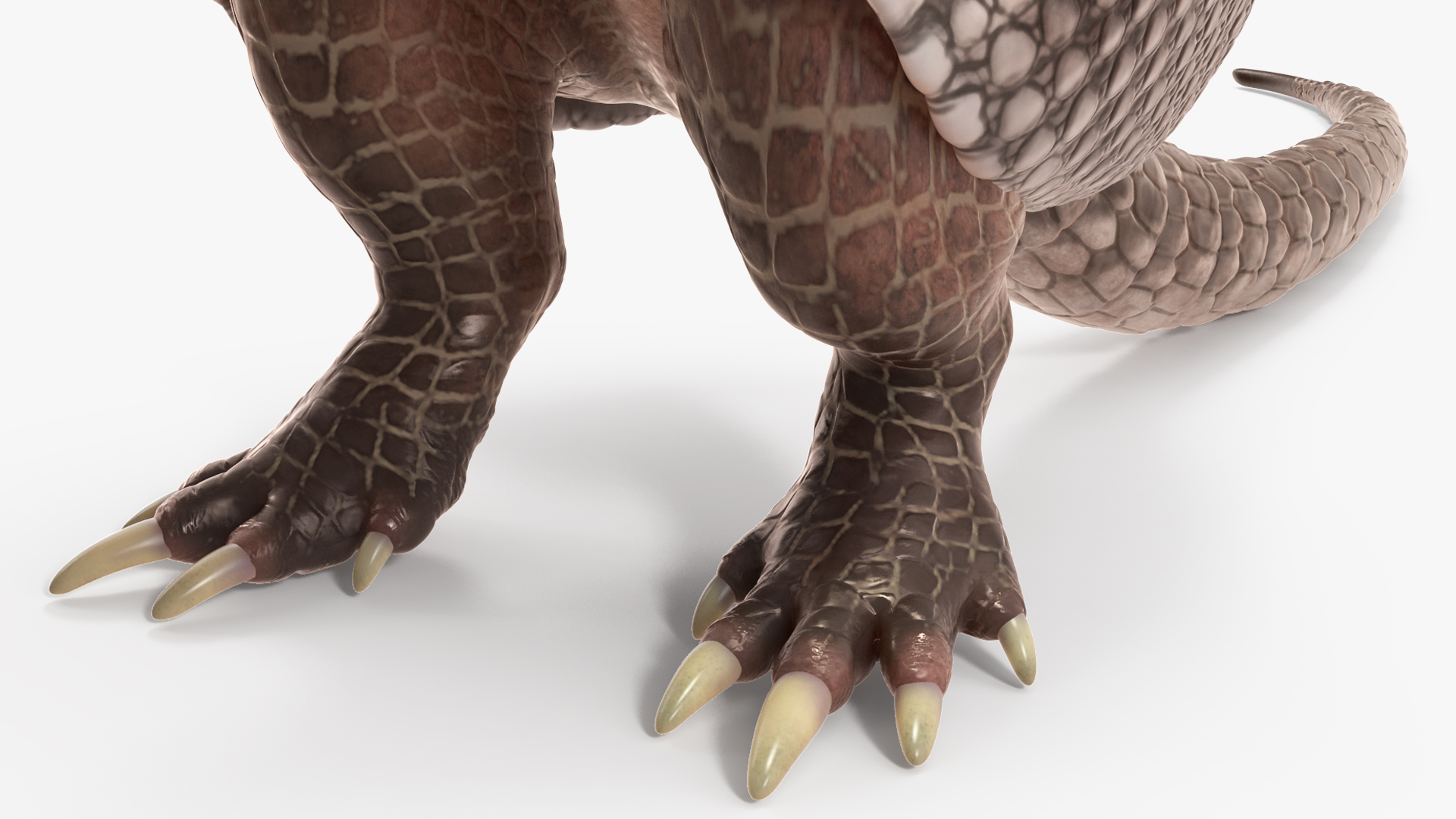 3D Armadillo in Hind Legs Pose Black model