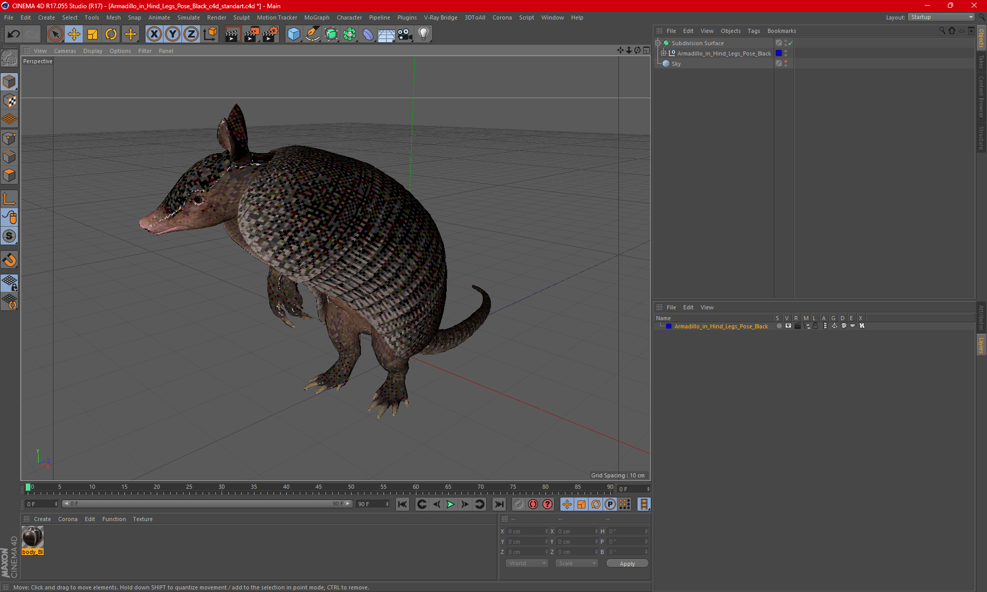 3D Armadillo in Hind Legs Pose Black model