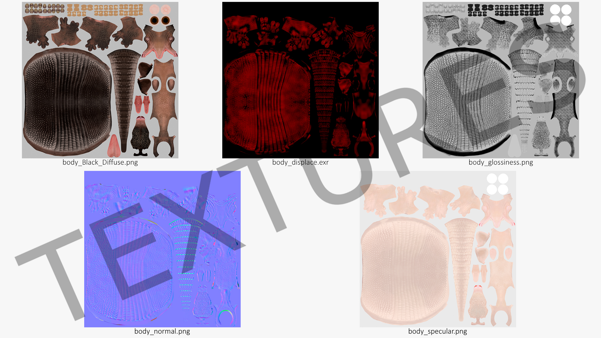 3D Armadillo in Hind Legs Pose Black model