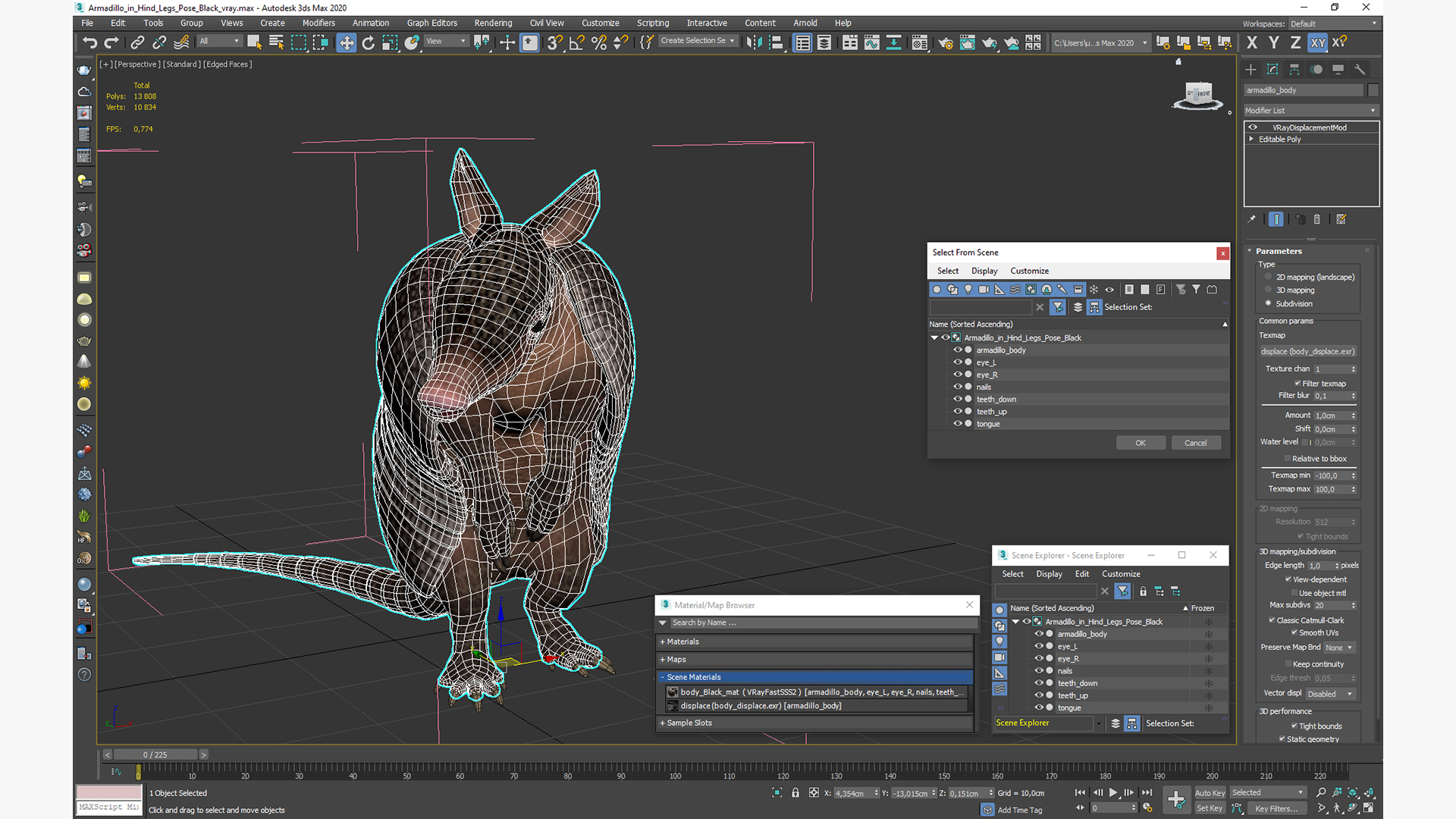 3D Armadillo in Hind Legs Pose Black model