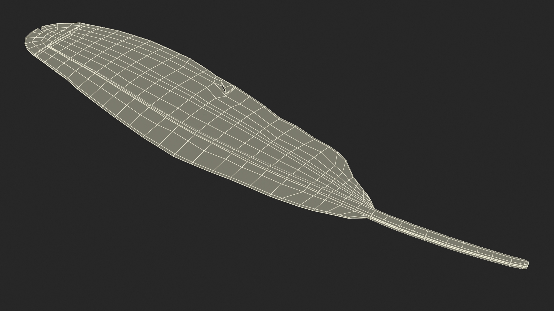 3D Amazon Parrot Feather