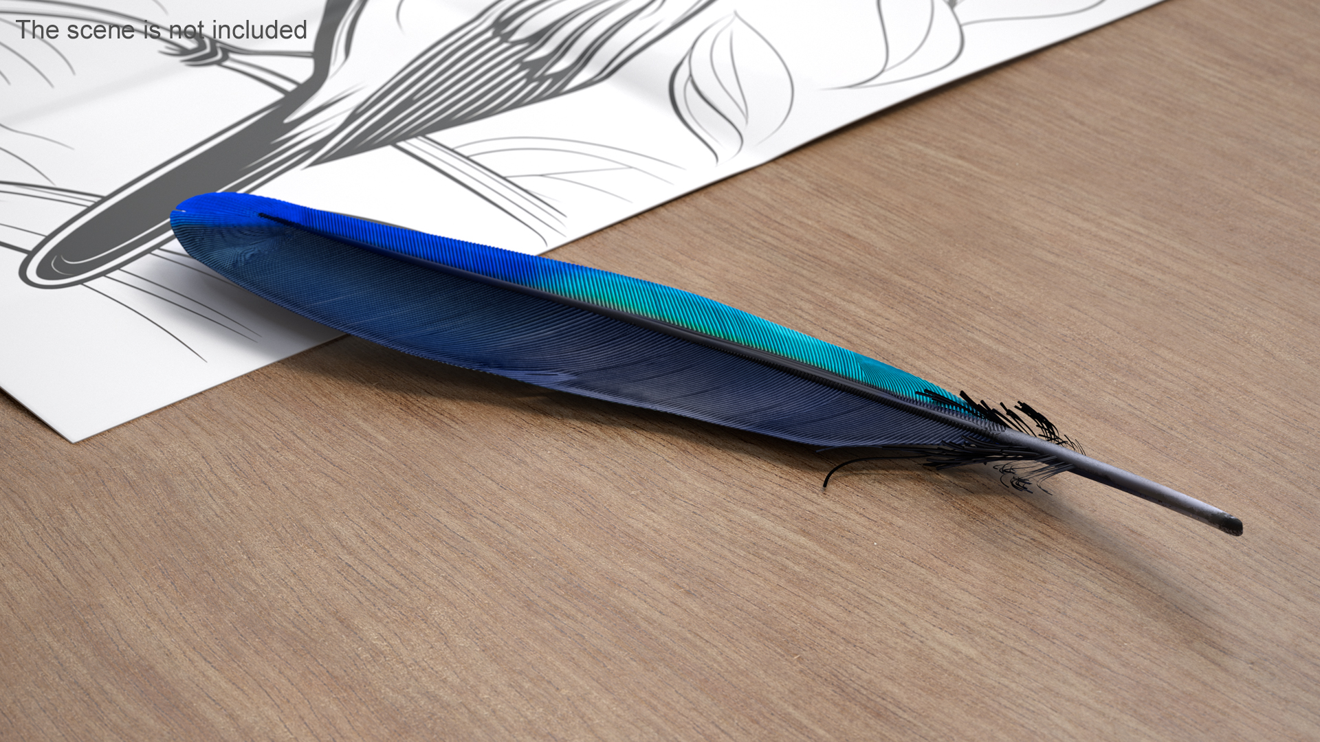 3D Amazon Parrot Feather