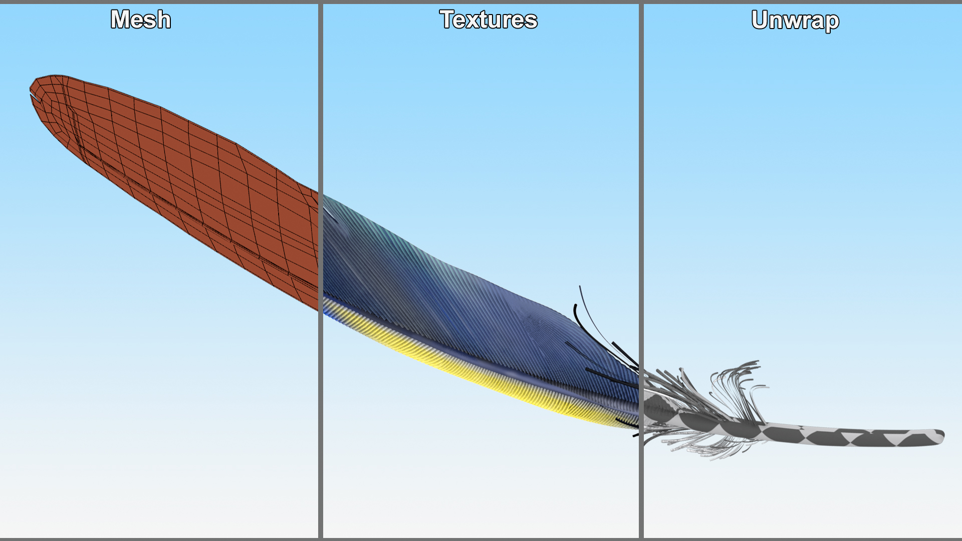 3D Amazon Parrot Feather