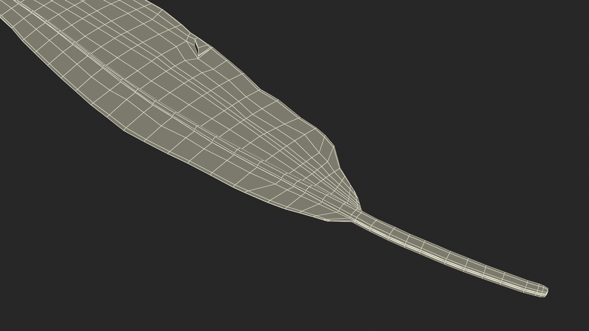 3D Amazon Parrot Feather
