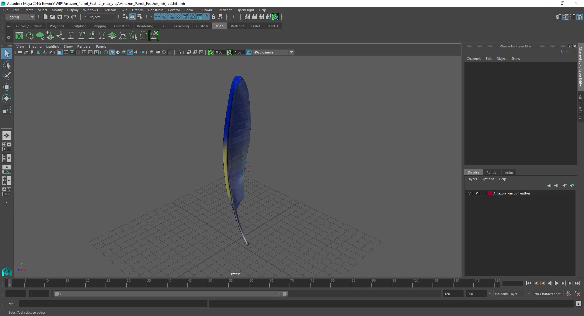 3D Amazon Parrot Feather