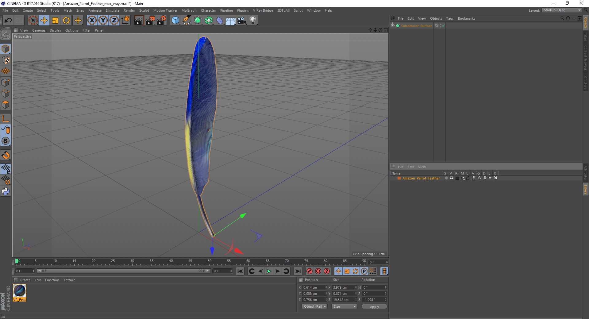 3D Amazon Parrot Feather
