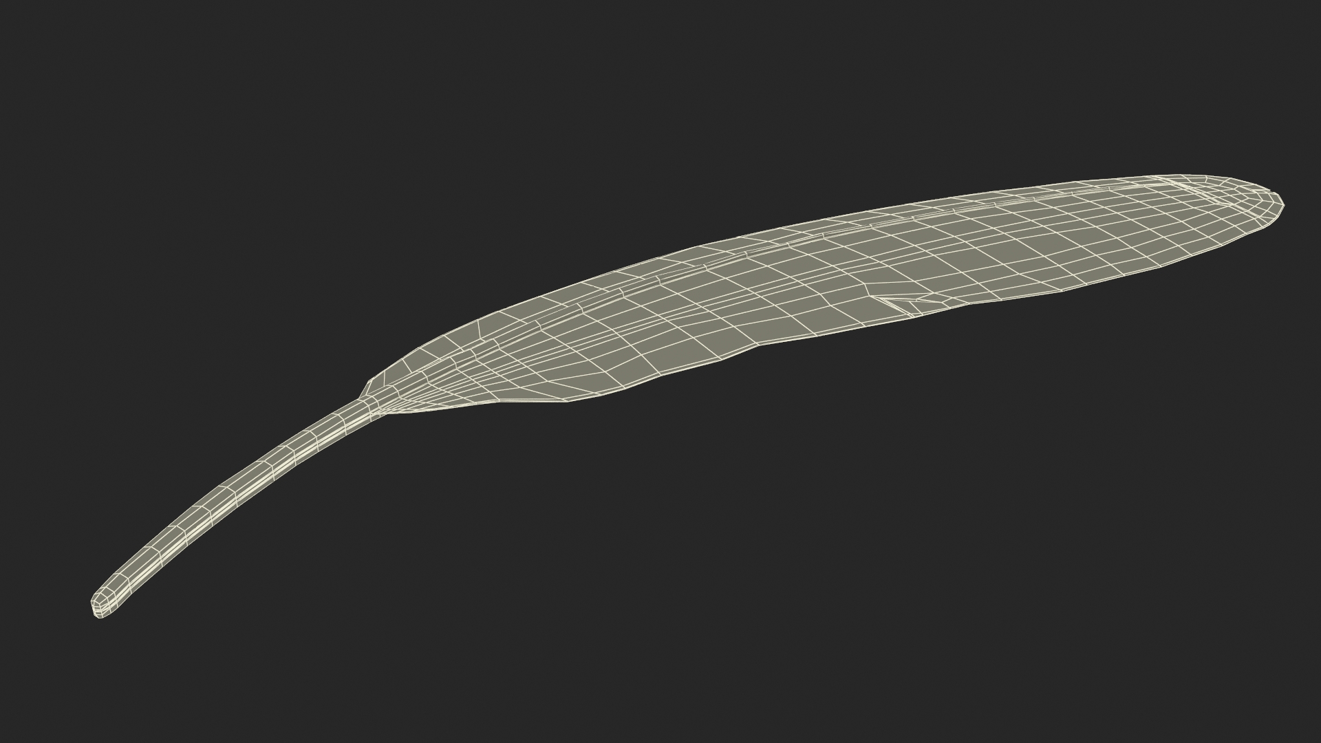 3D Amazon Parrot Feather