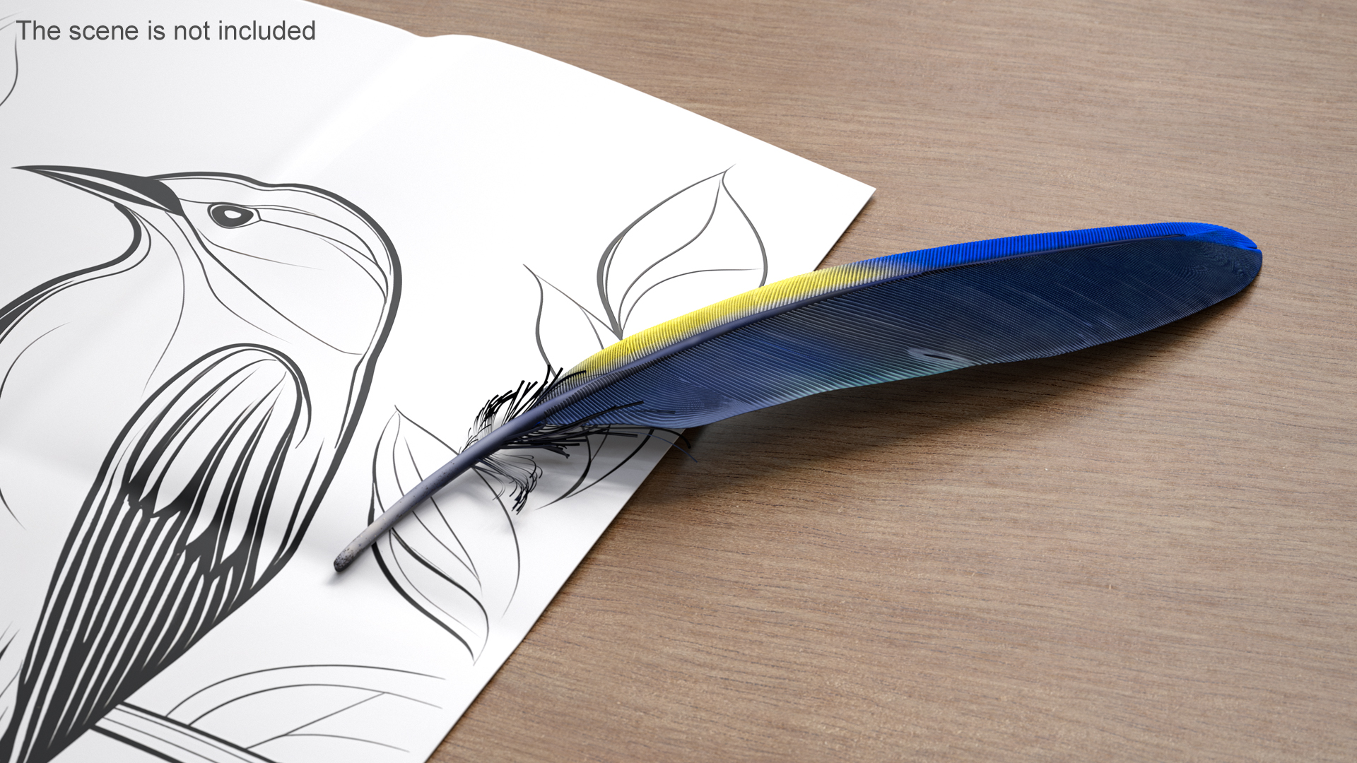 3D Amazon Parrot Feather