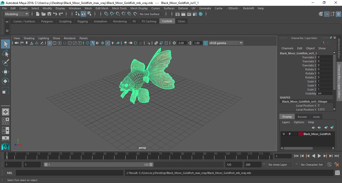 Black Moor Goldfish 3D model