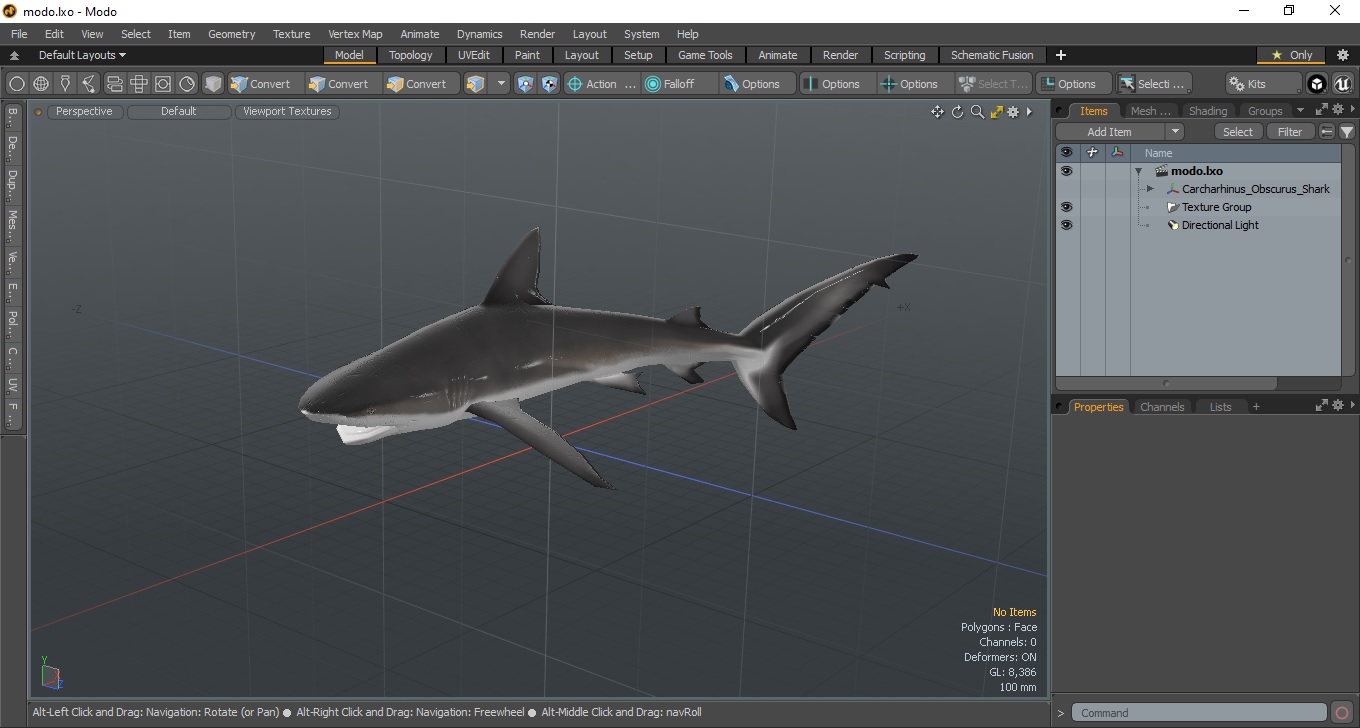 Carcharhinus Obscurus Shark 3D