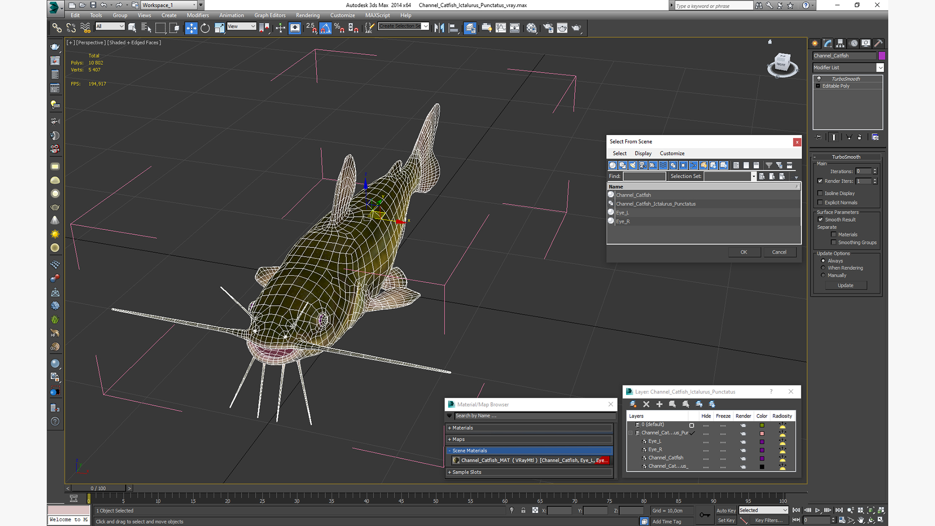 3D model Channel Catfish Ictalurus Punctatus