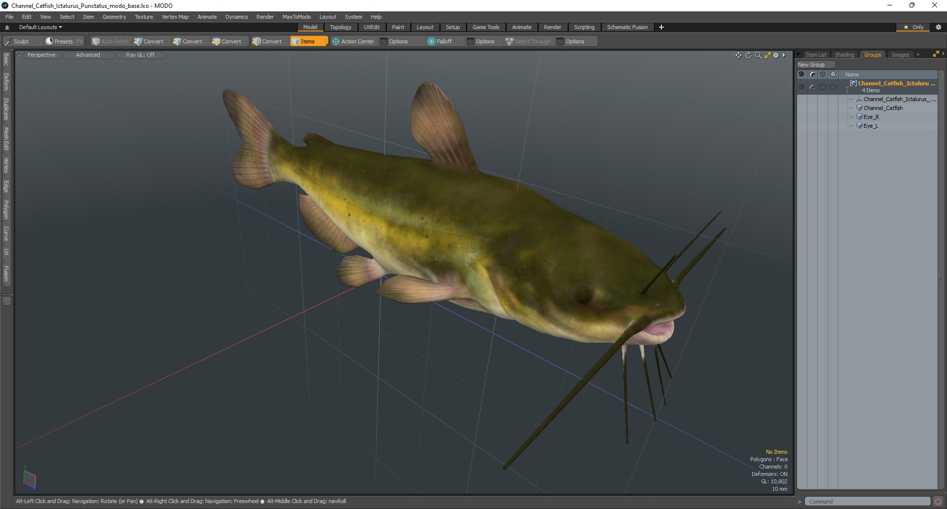 3D model Channel Catfish Ictalurus Punctatus