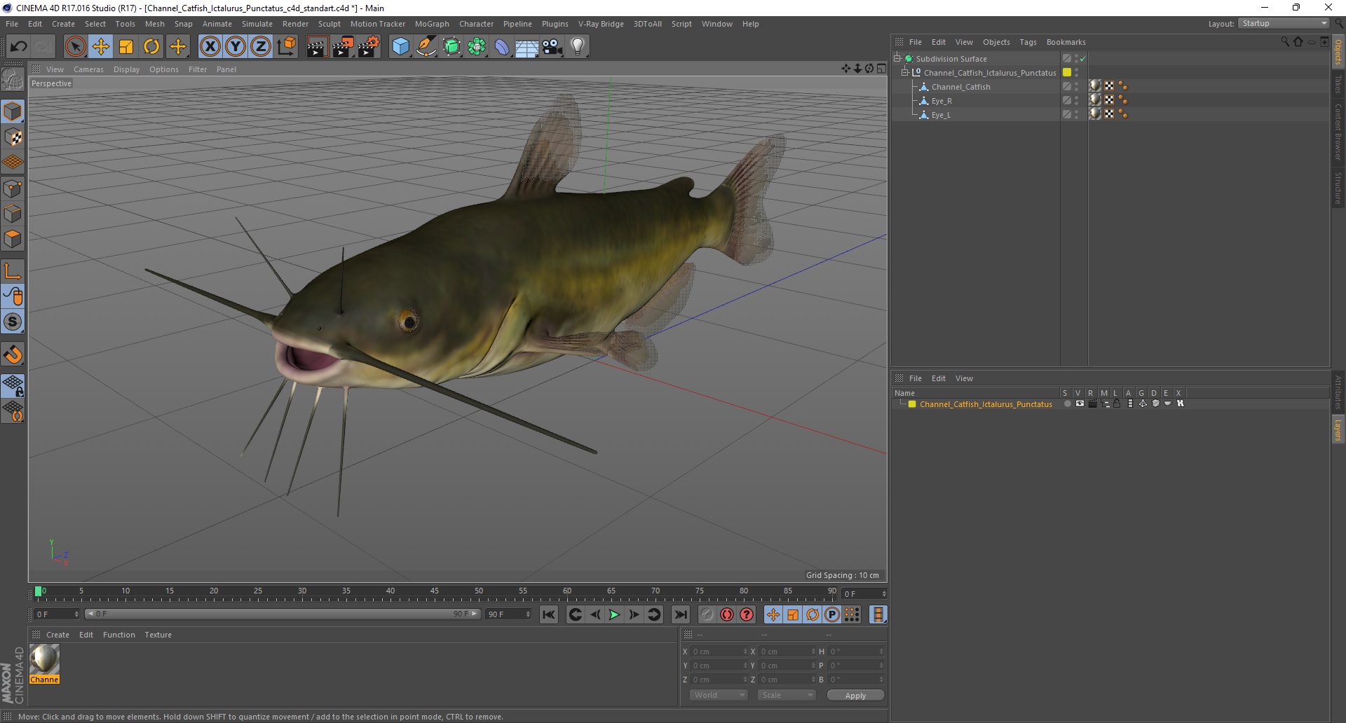 3D model Channel Catfish Ictalurus Punctatus