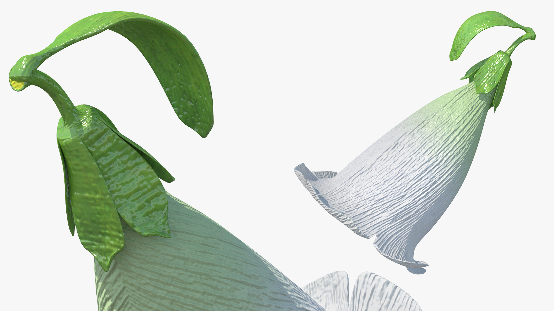3D White Foxglove Flower