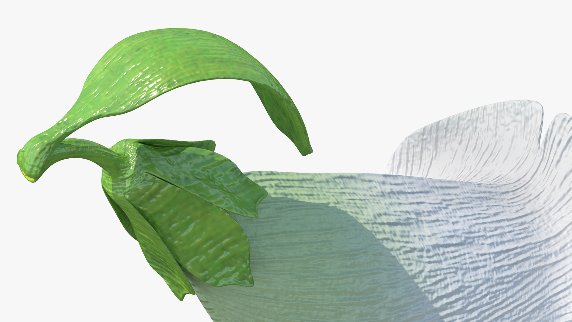 3D White Foxglove Flower