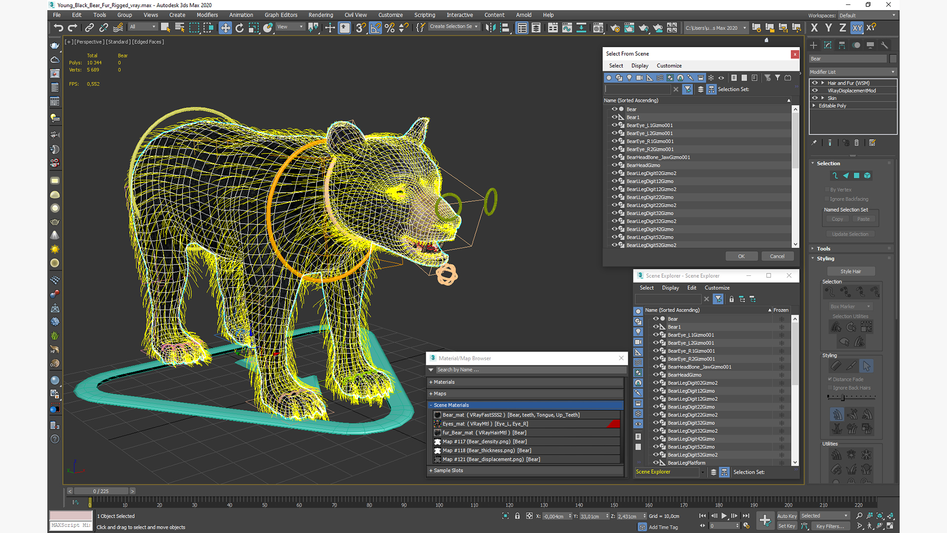 Young Black Bear Fur Rigged 3D