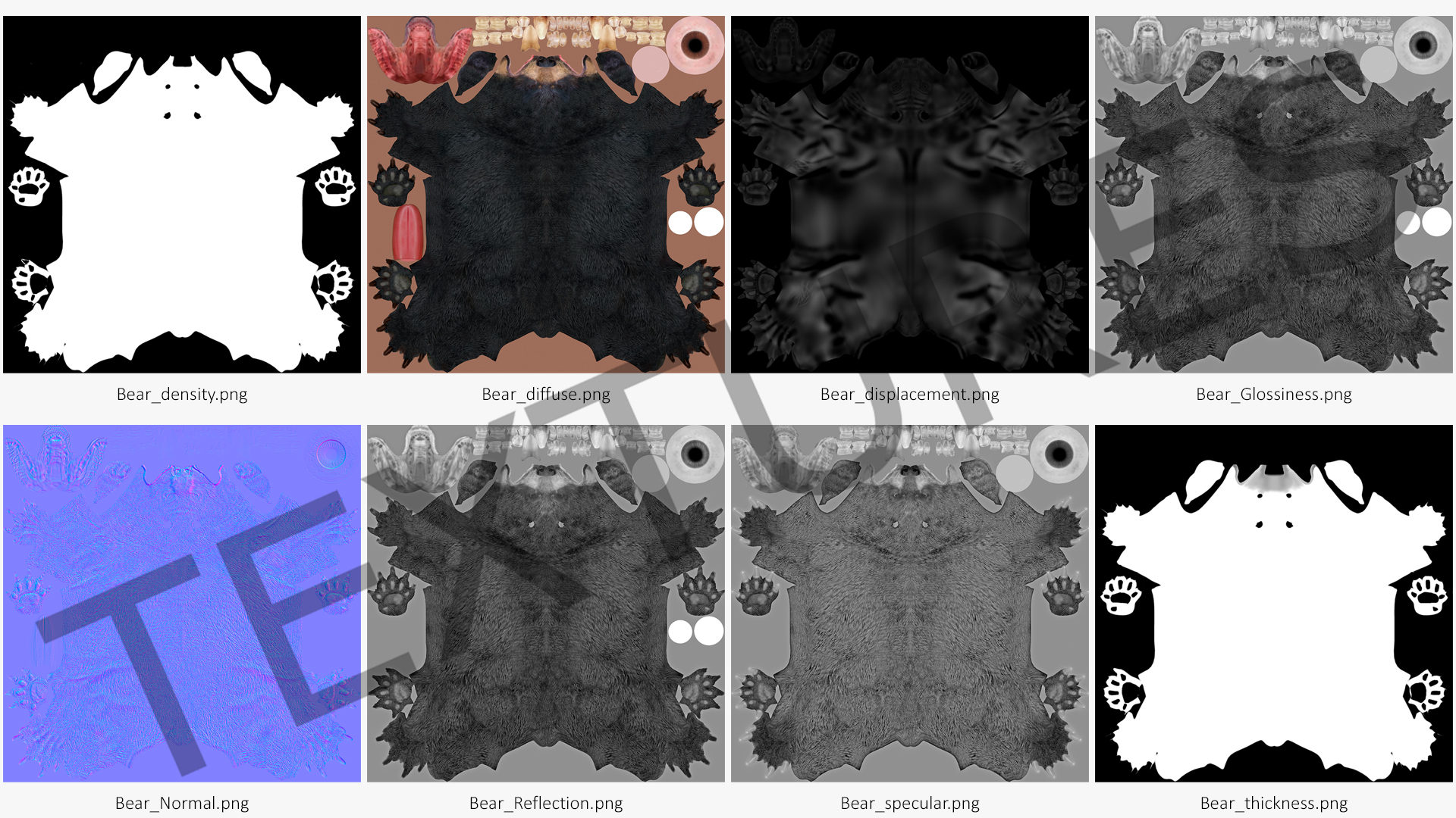 Young Black Bear Fur Rigged 3D