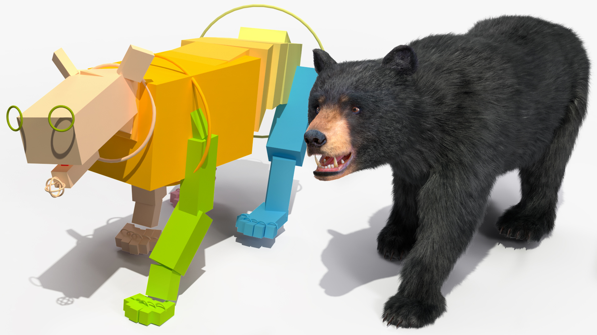 Young Black Bear Fur Rigged 3D