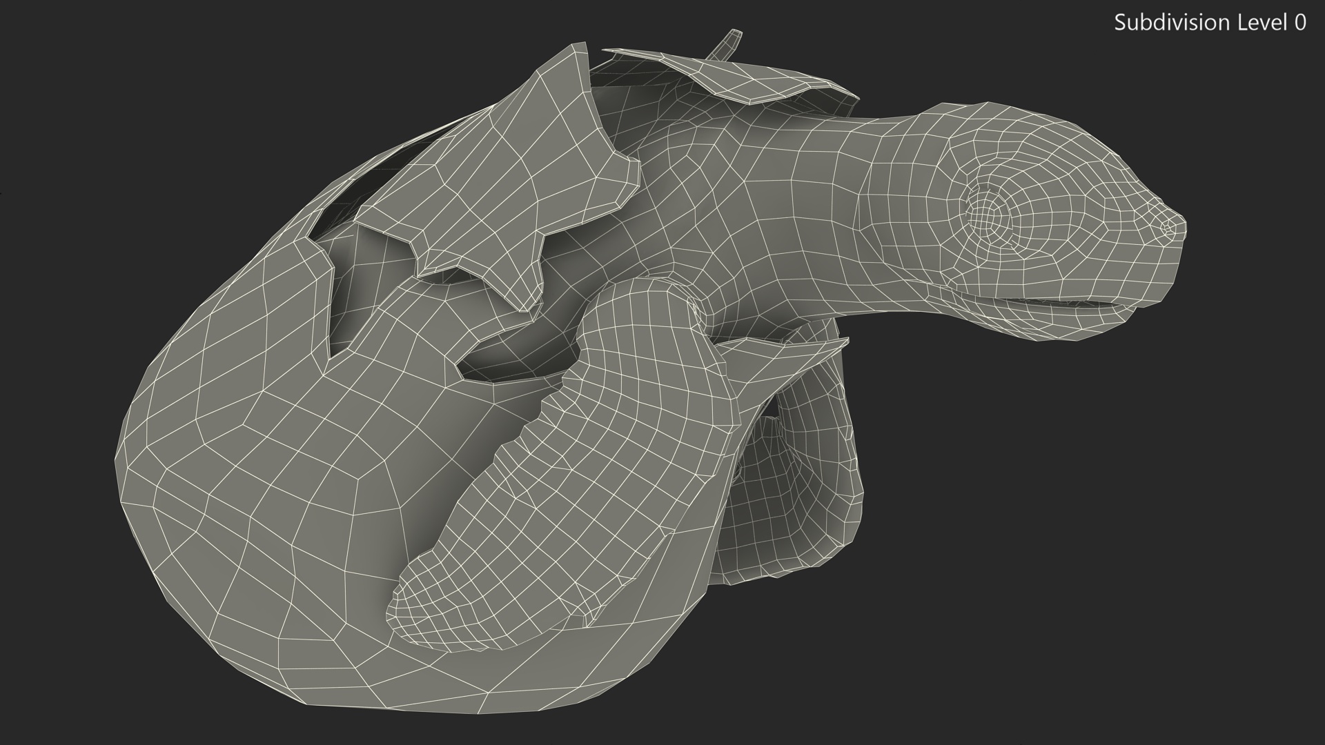 3D Brown Sea Turtle Hatching from the Egg model