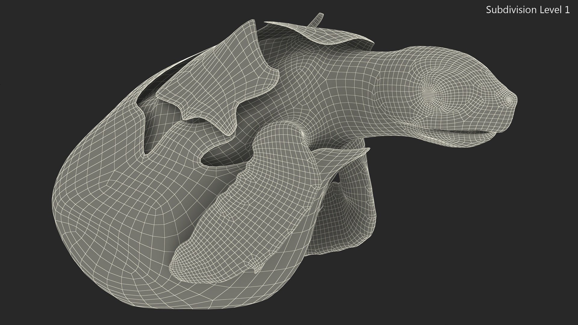 3D Brown Sea Turtle Hatching from the Egg model