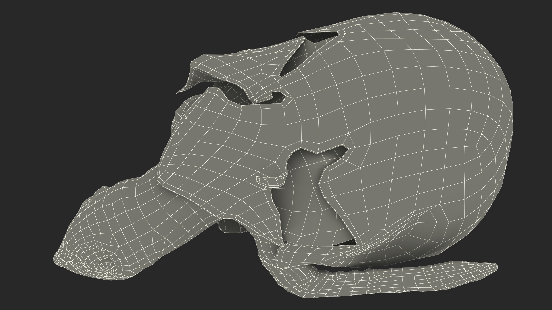 3D Brown Sea Turtle Hatching from the Egg model
