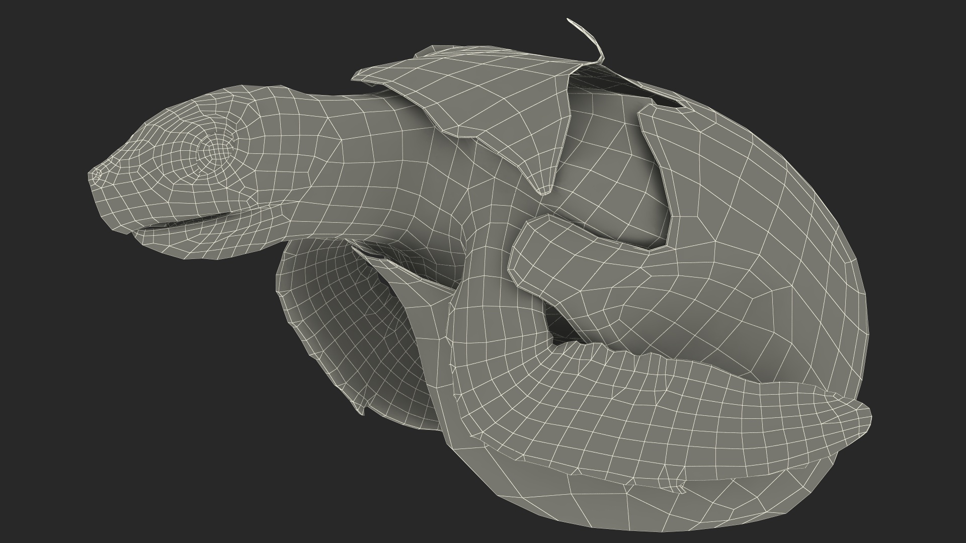 3D Brown Sea Turtle Hatching from the Egg model