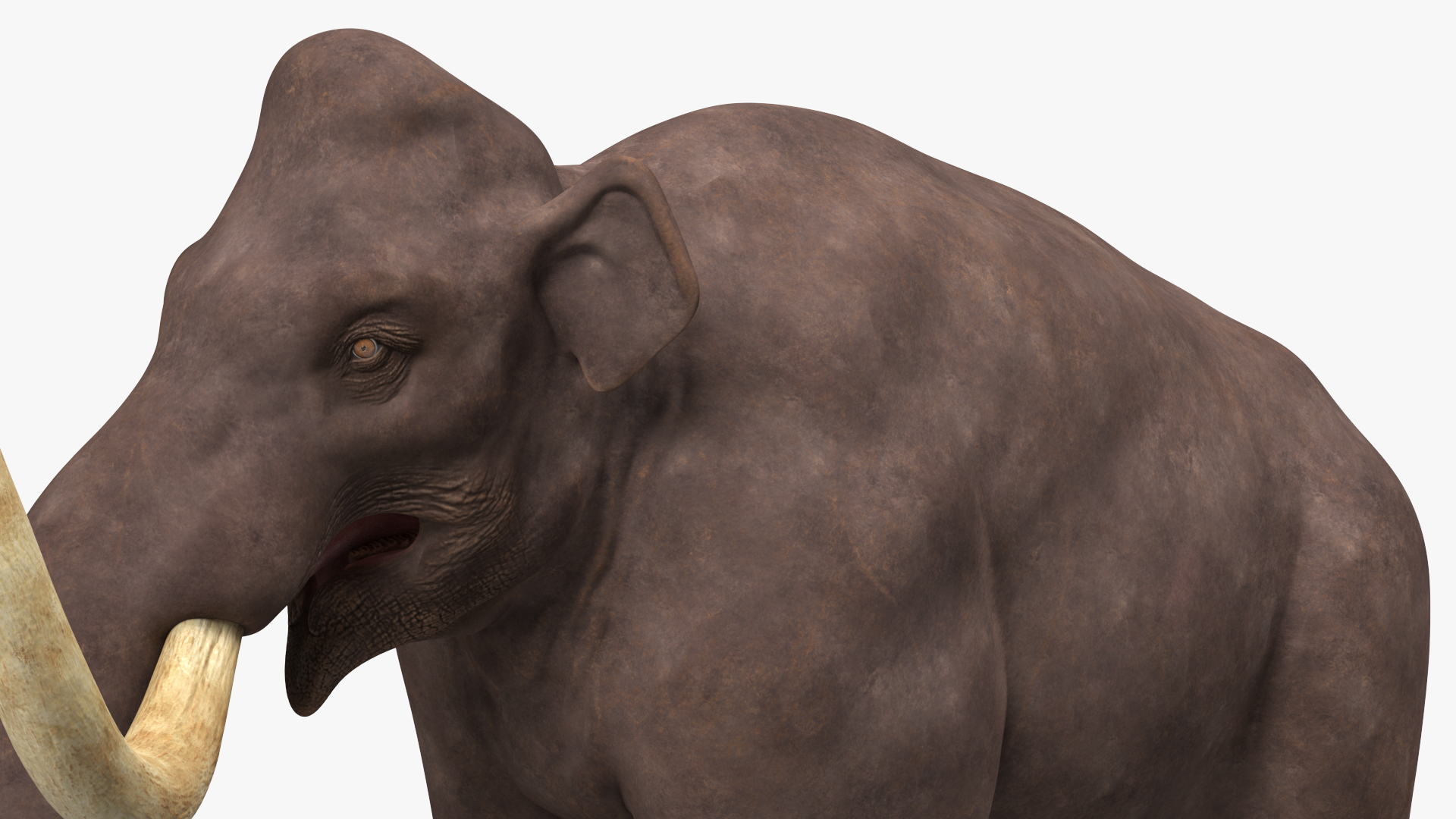 3D Mammoth Adult model