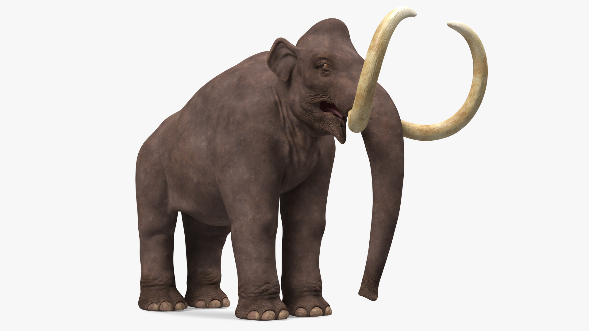 3D Mammoth Adult model