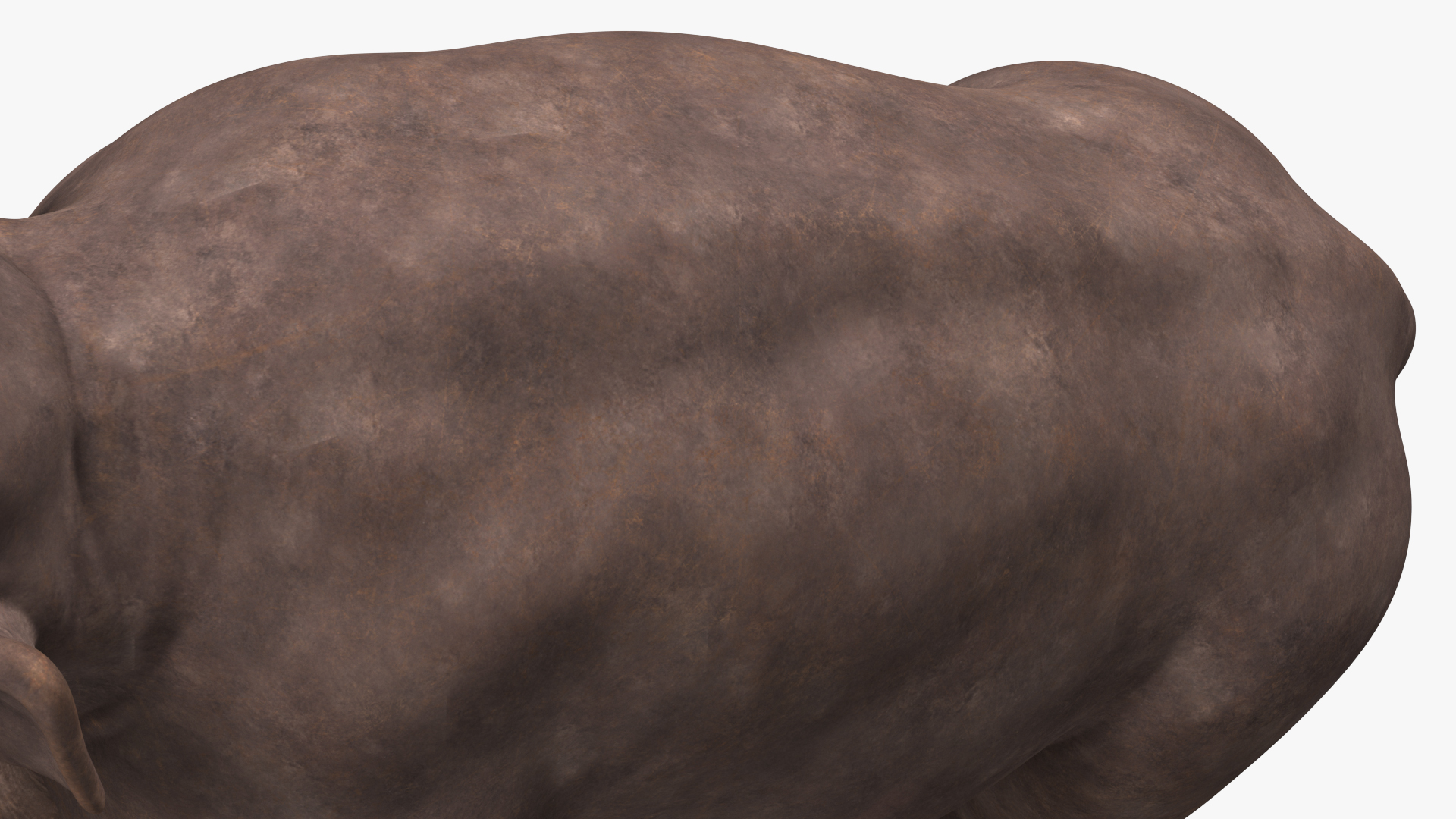 3D Mammoth Adult model