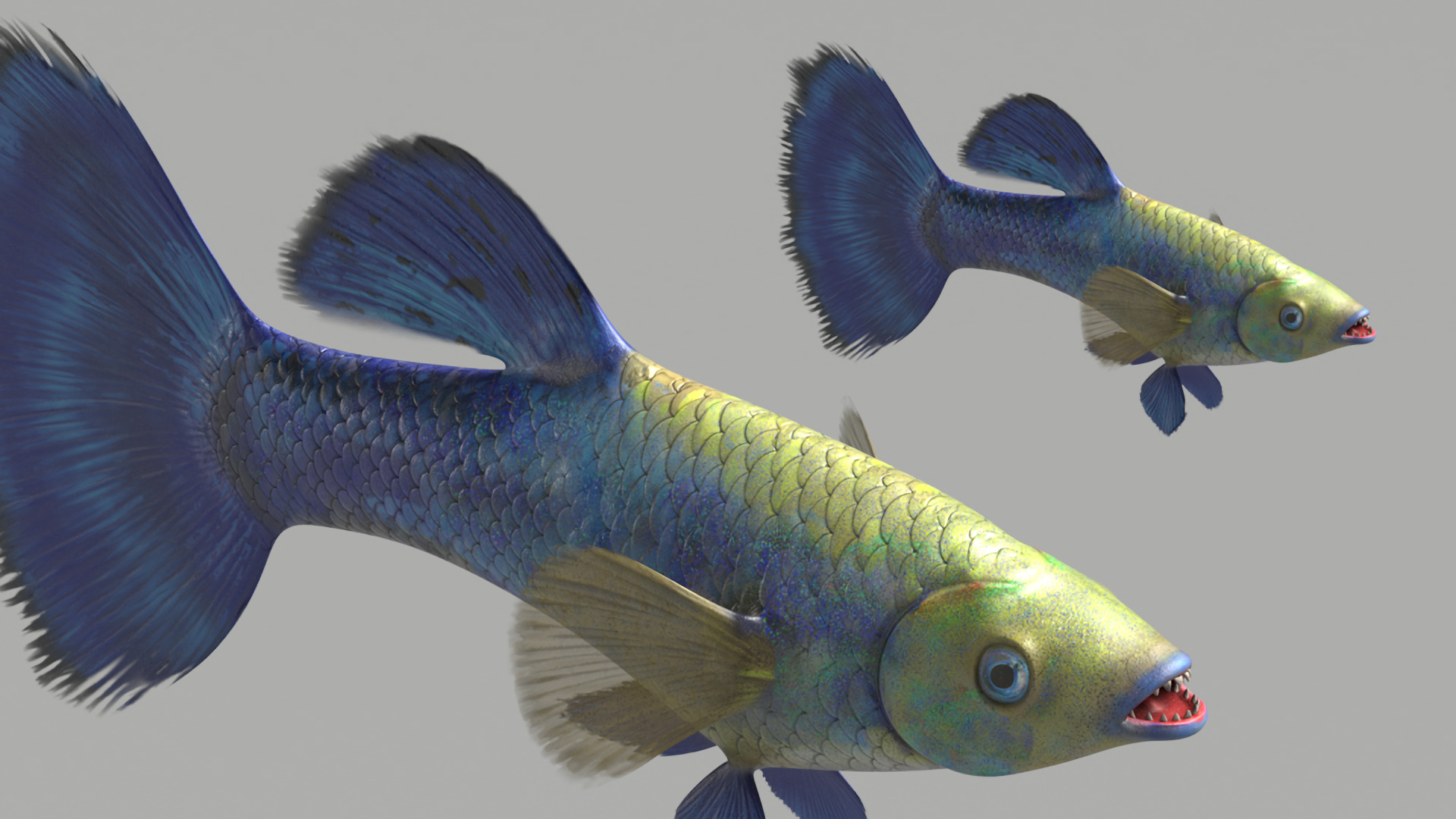 3D Guppy Fish Blue Diamond model