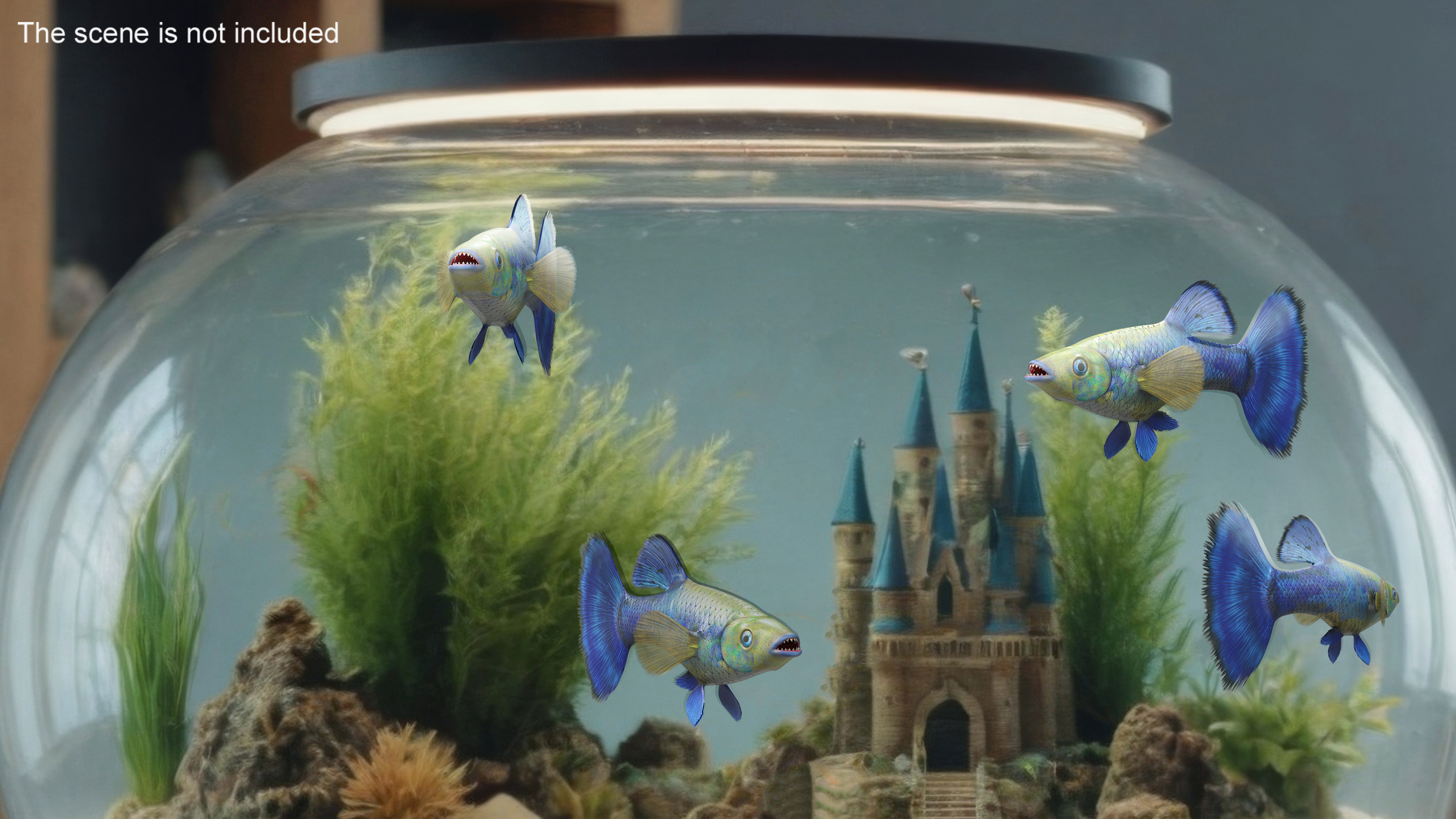 3D Guppy Fish Blue Diamond model