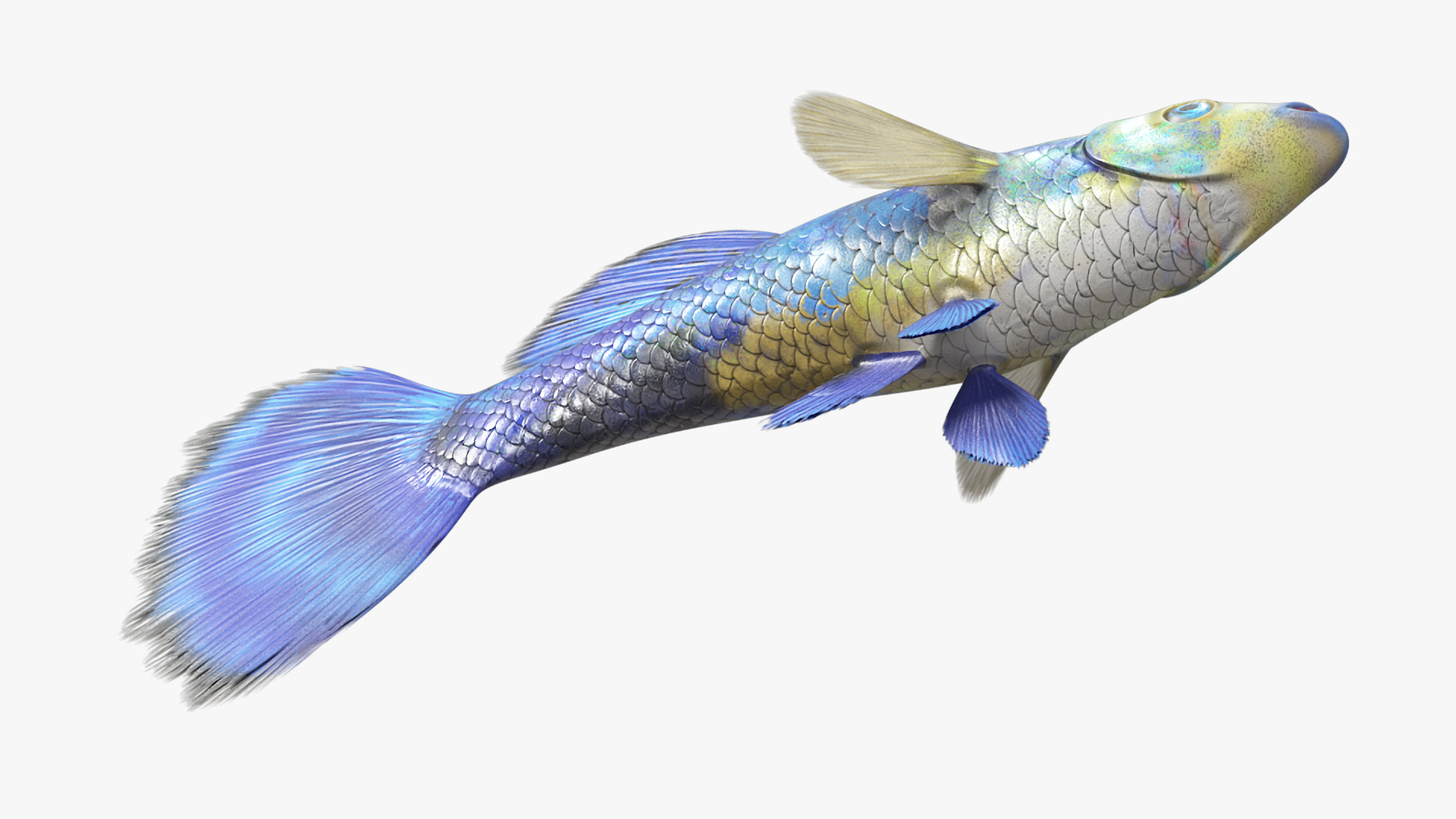 3D Guppy Fish Blue Diamond model