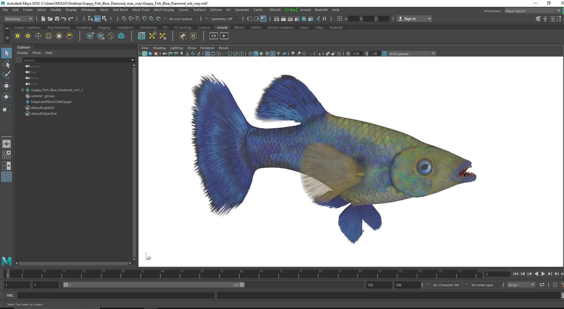 3D Guppy Fish Blue Diamond model