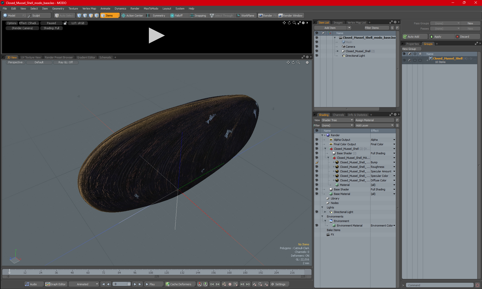 Closed Mussel Shell 3D model