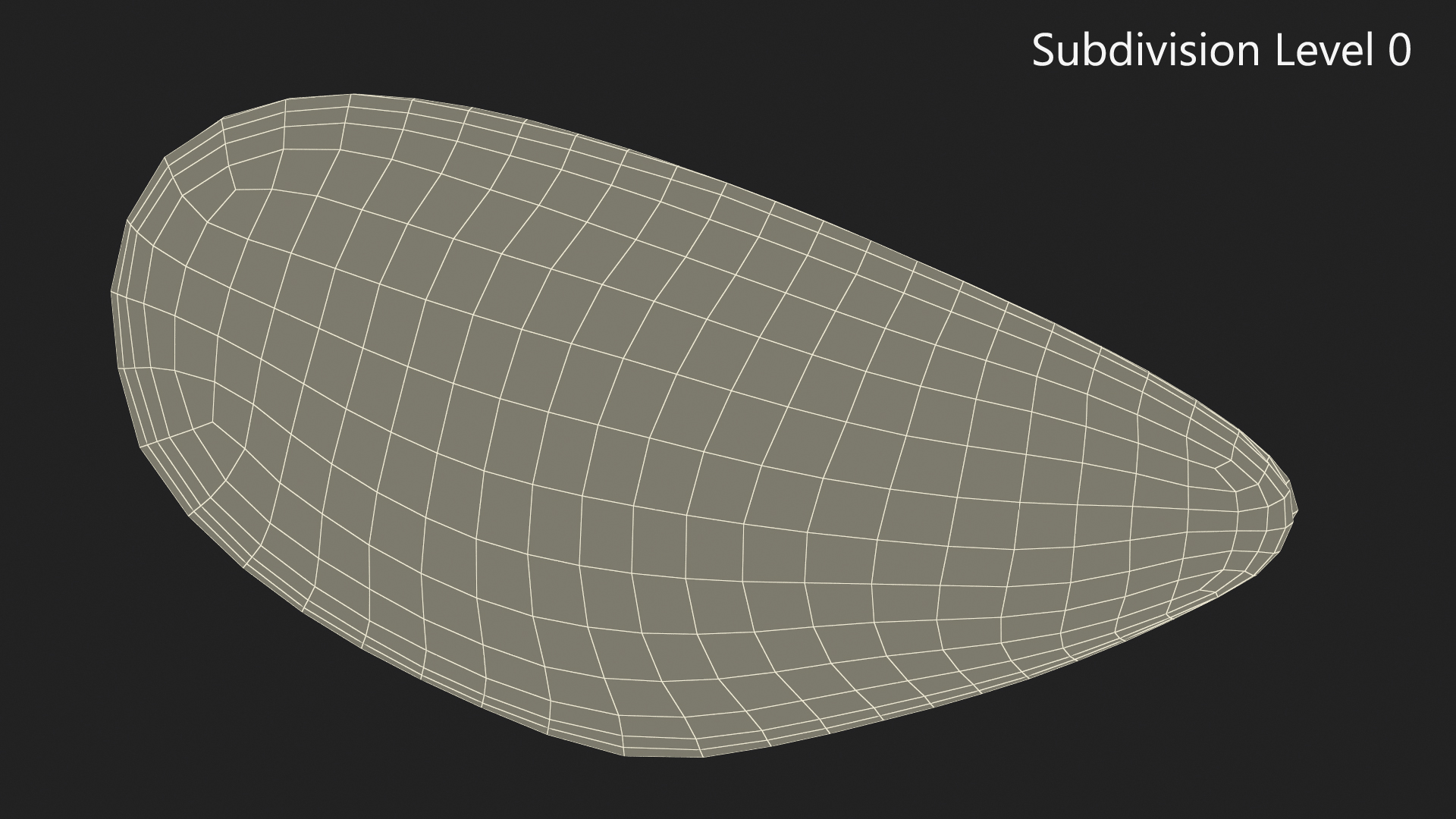 Closed Mussel Shell 3D model